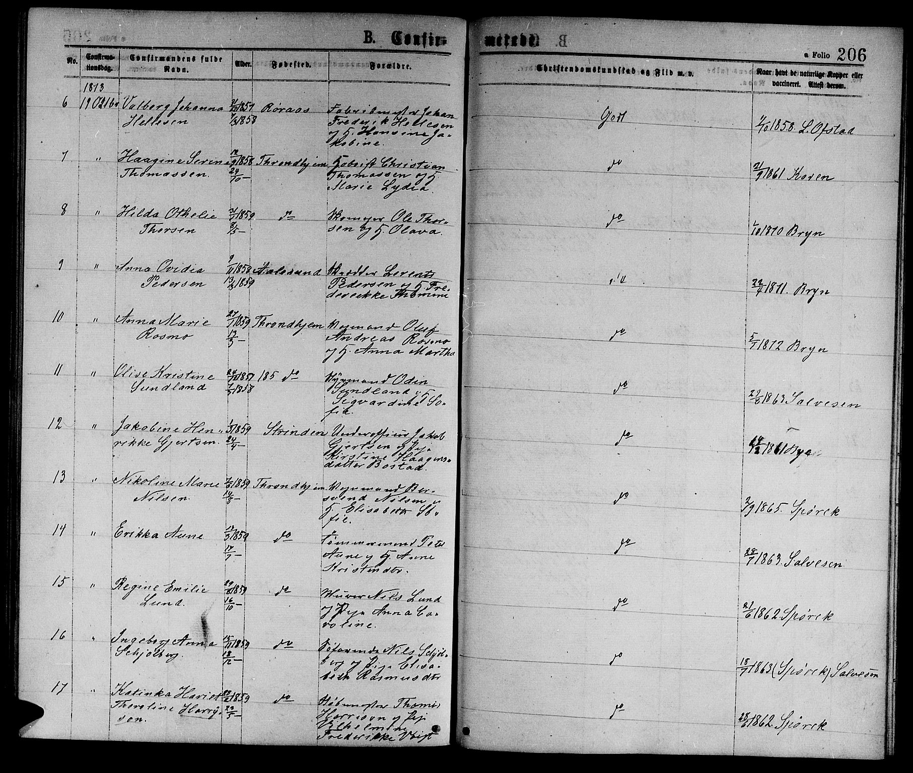 Ministerialprotokoller, klokkerbøker og fødselsregistre - Sør-Trøndelag, AV/SAT-A-1456/601/L0088: Klokkerbok nr. 601C06, 1870-1878, s. 206