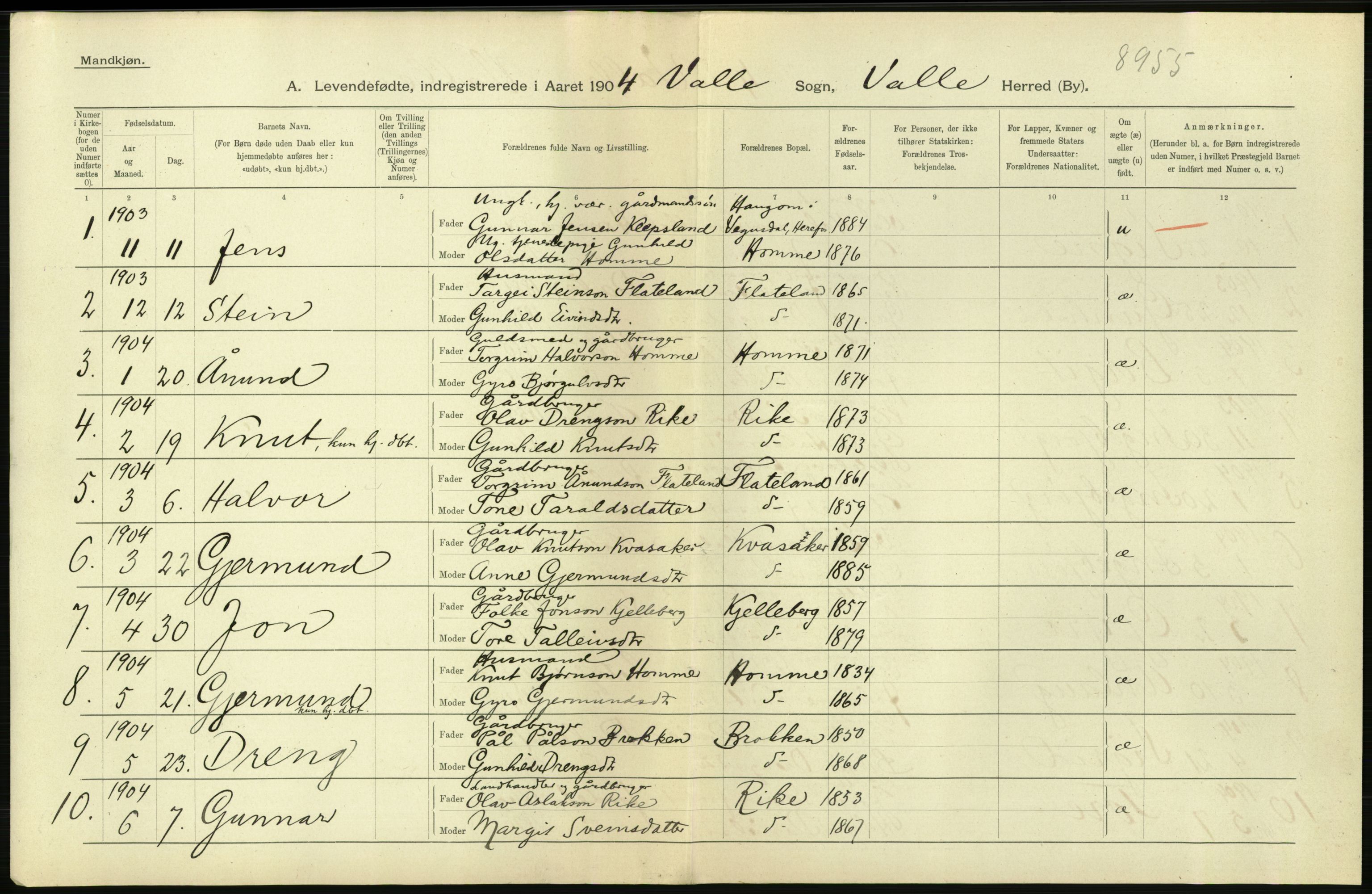 Statistisk sentralbyrå, Sosiodemografiske emner, Befolkning, AV/RA-S-2228/D/Df/Dfa/Dfab/L0010: Nedenes amt: Fødte, gifte, døde, 1904, s. 242