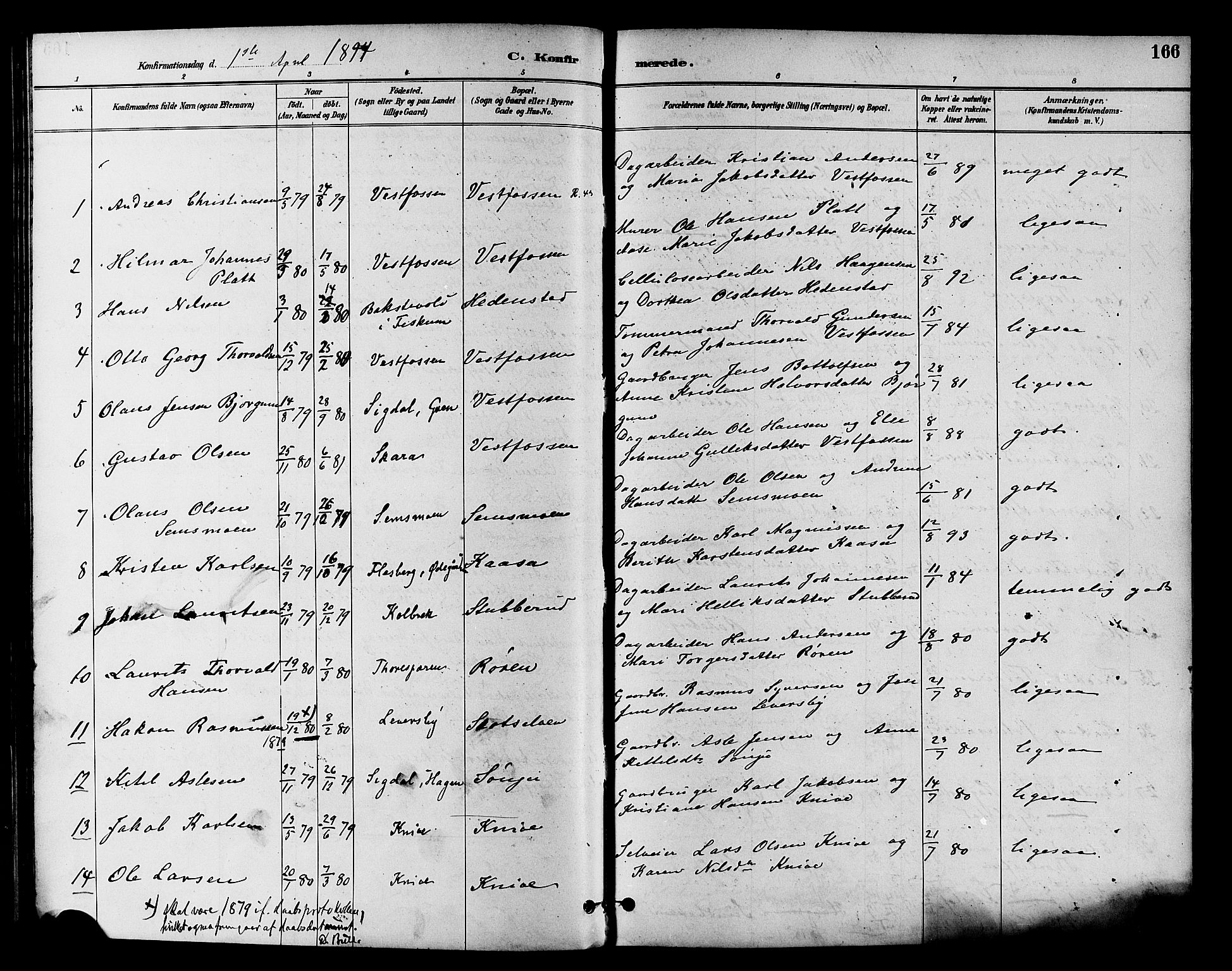 Eiker kirkebøker, AV/SAKO-A-4/F/Fb/L0002: Ministerialbok nr. II 2, 1889-1896, s. 166