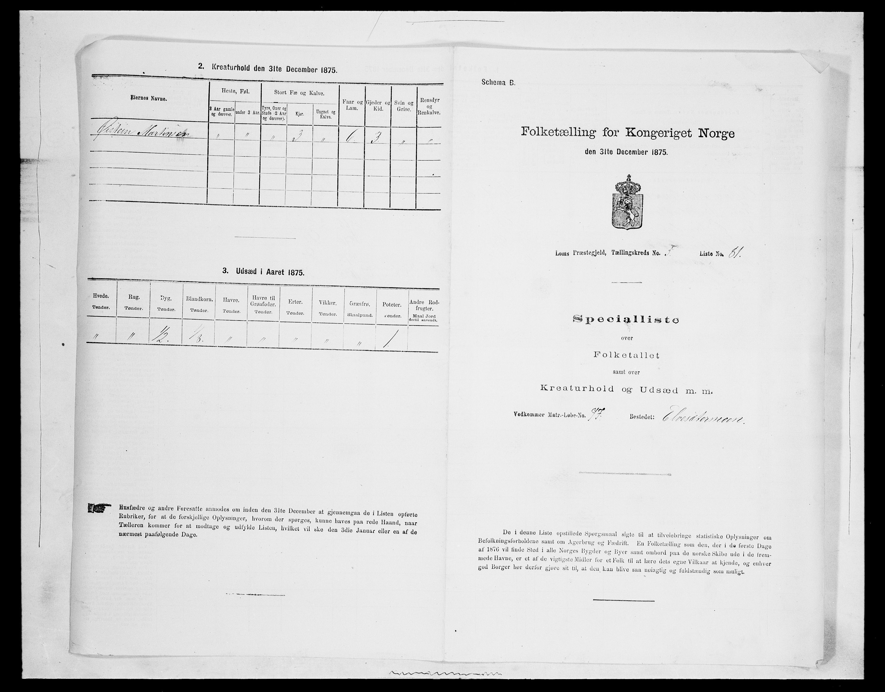 SAH, Folketelling 1875 for 0514P Lom prestegjeld, 1875, s. 903