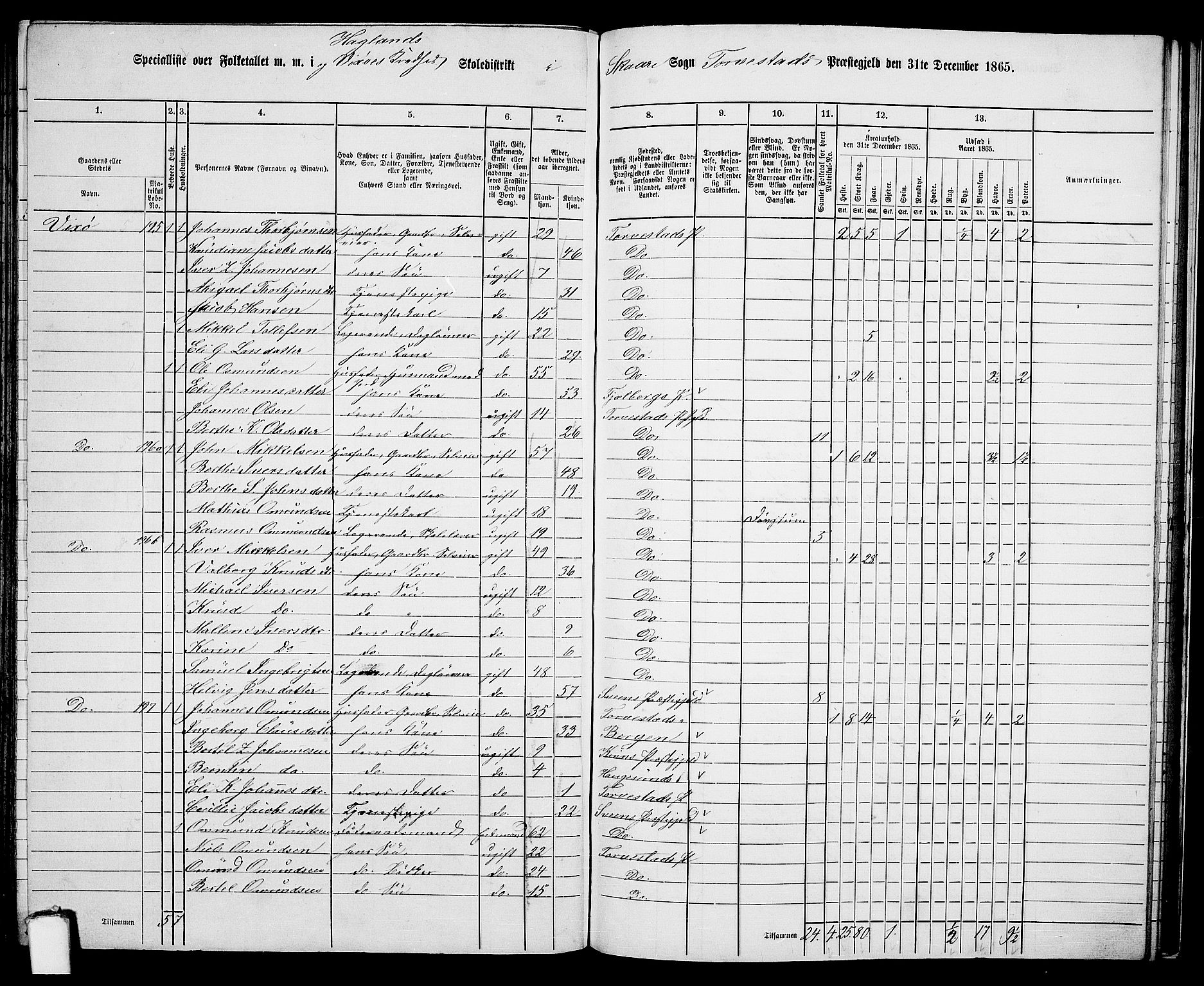 RA, Folketelling 1865 for 1152L Torvastad prestegjeld, Torvastad sokn, Skåre sokn og Utsira sokn, 1865, s. 125