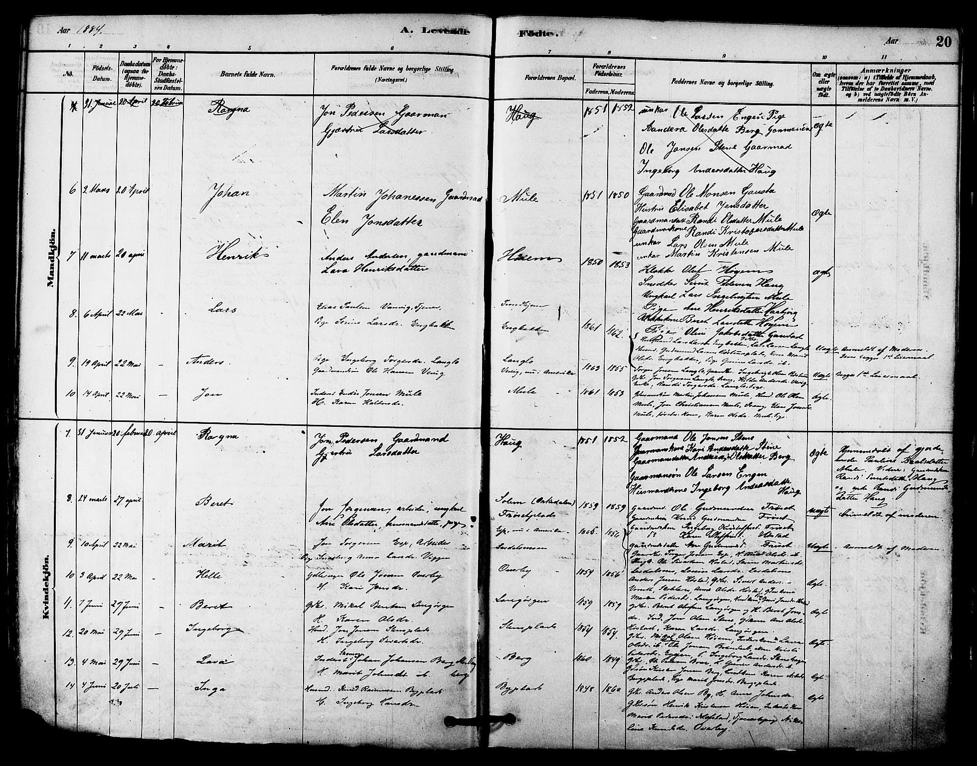 Ministerialprotokoller, klokkerbøker og fødselsregistre - Sør-Trøndelag, SAT/A-1456/612/L0378: Ministerialbok nr. 612A10, 1878-1897, s. 20