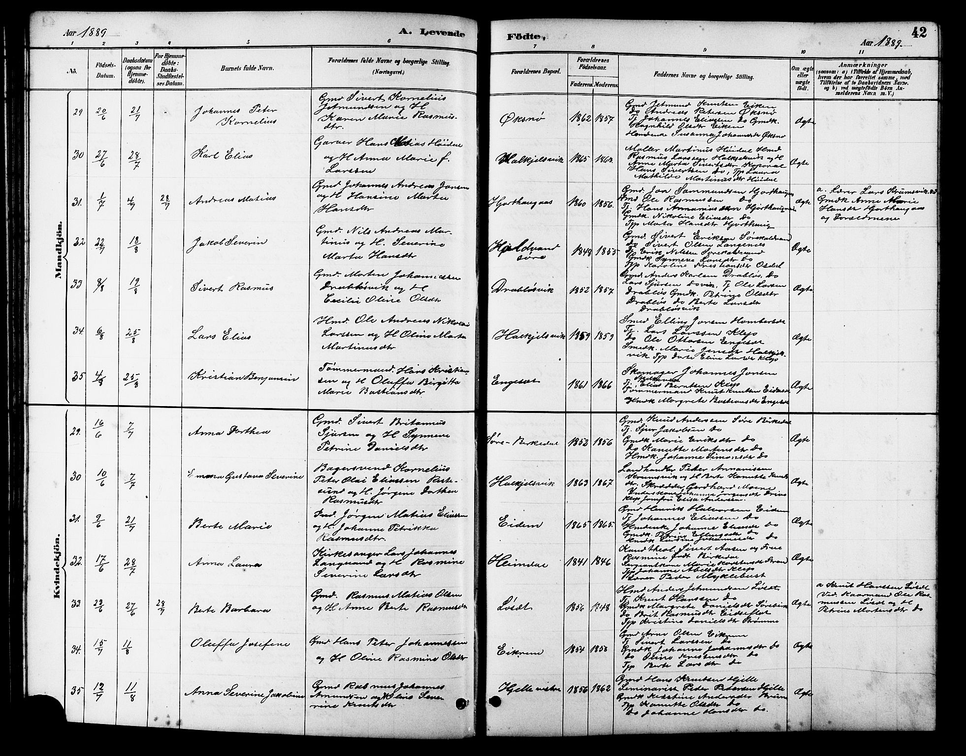 Ministerialprotokoller, klokkerbøker og fødselsregistre - Møre og Romsdal, AV/SAT-A-1454/511/L0158: Klokkerbok nr. 511C04, 1884-1903, s. 42