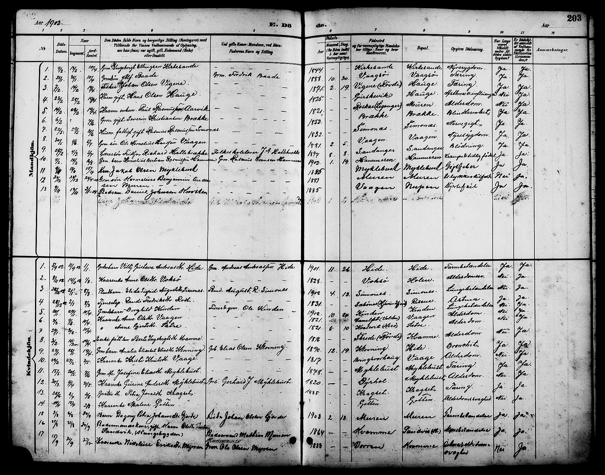 Ministerialprotokoller, klokkerbøker og fødselsregistre - Møre og Romsdal, AV/SAT-A-1454/503/L0049: Klokkerbok nr. 503C04, 1894-1915, s. 203