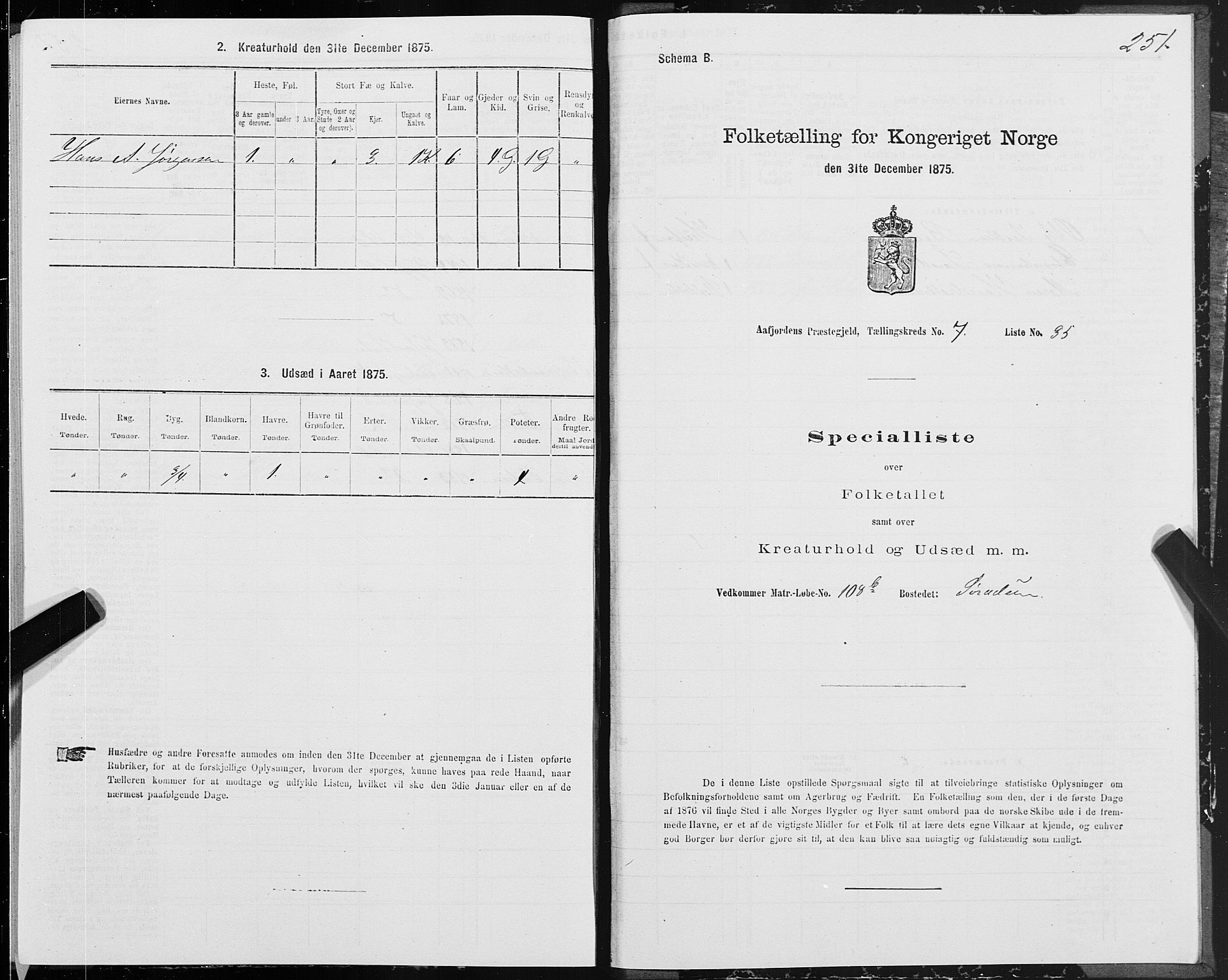 SAT, Folketelling 1875 for 1630P Aafjorden prestegjeld, 1875, s. 3251