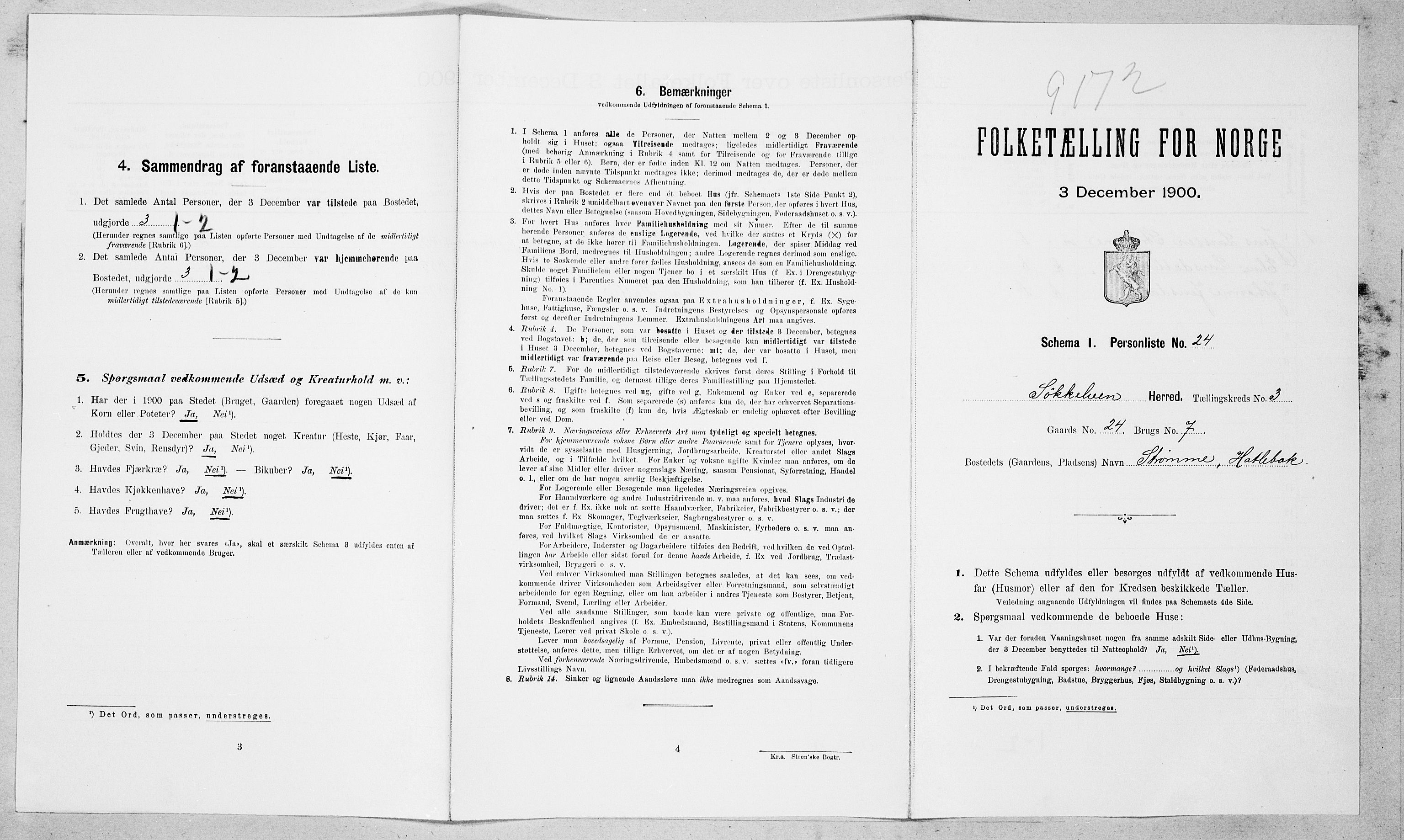 SAT, Folketelling 1900 for 1528 Sykkylven herred, 1900, s. 411