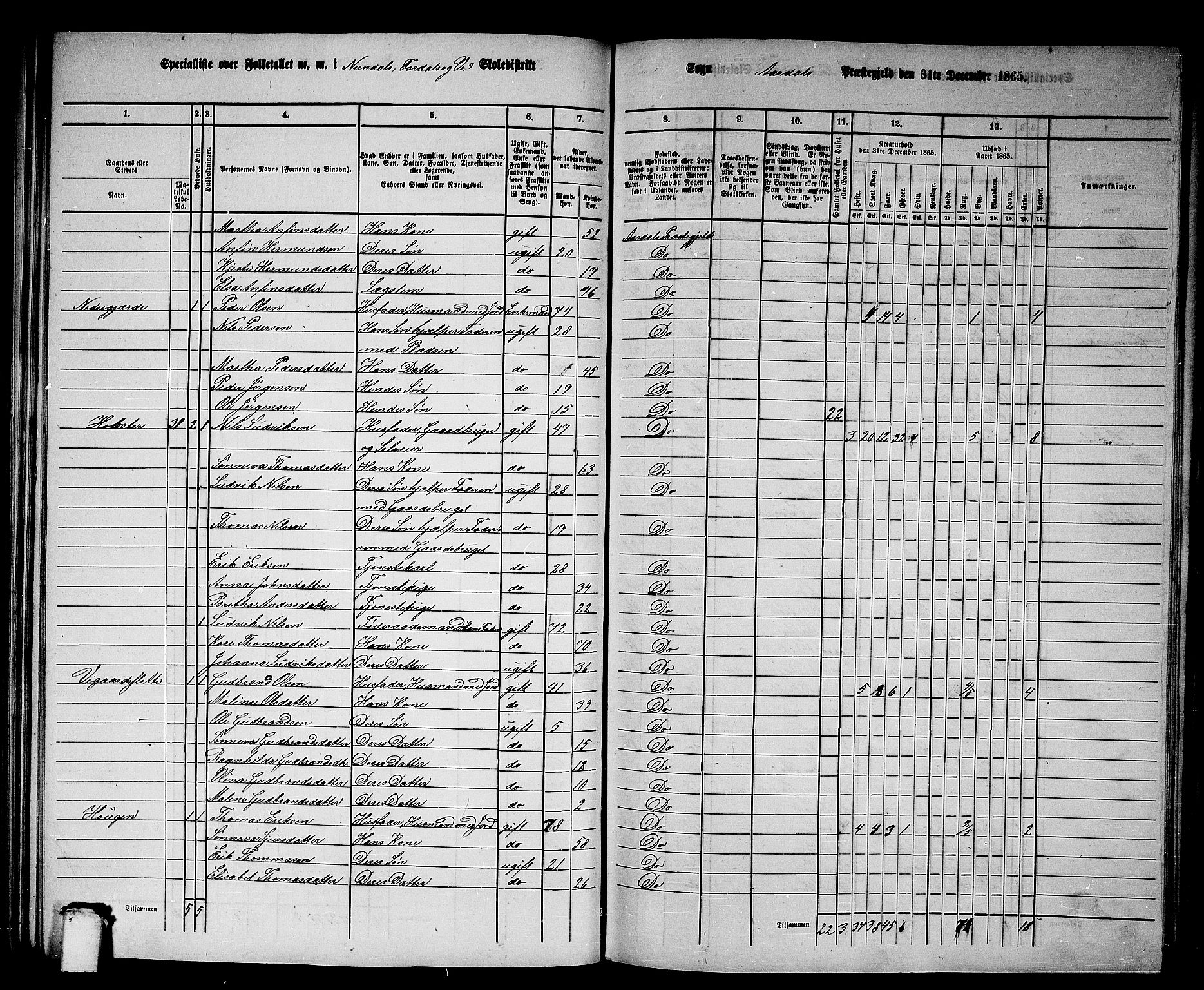 RA, Folketelling 1865 for 1424P Årdal prestegjeld, 1865, s. 62