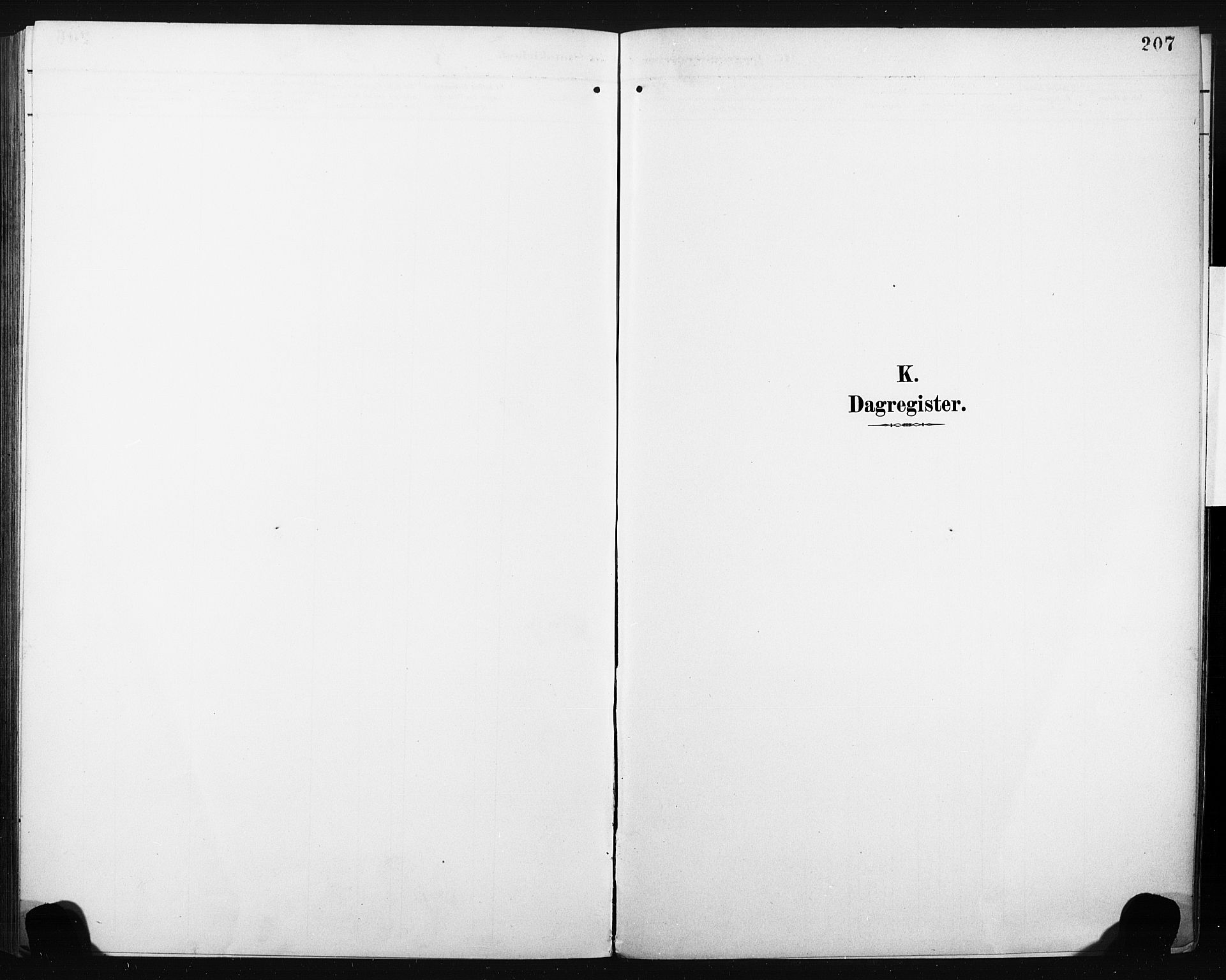 Eiker kirkebøker, SAKO/A-4/F/Fc/L0002: Ministerialbok nr. III 2, 1889-1897, s. 207
