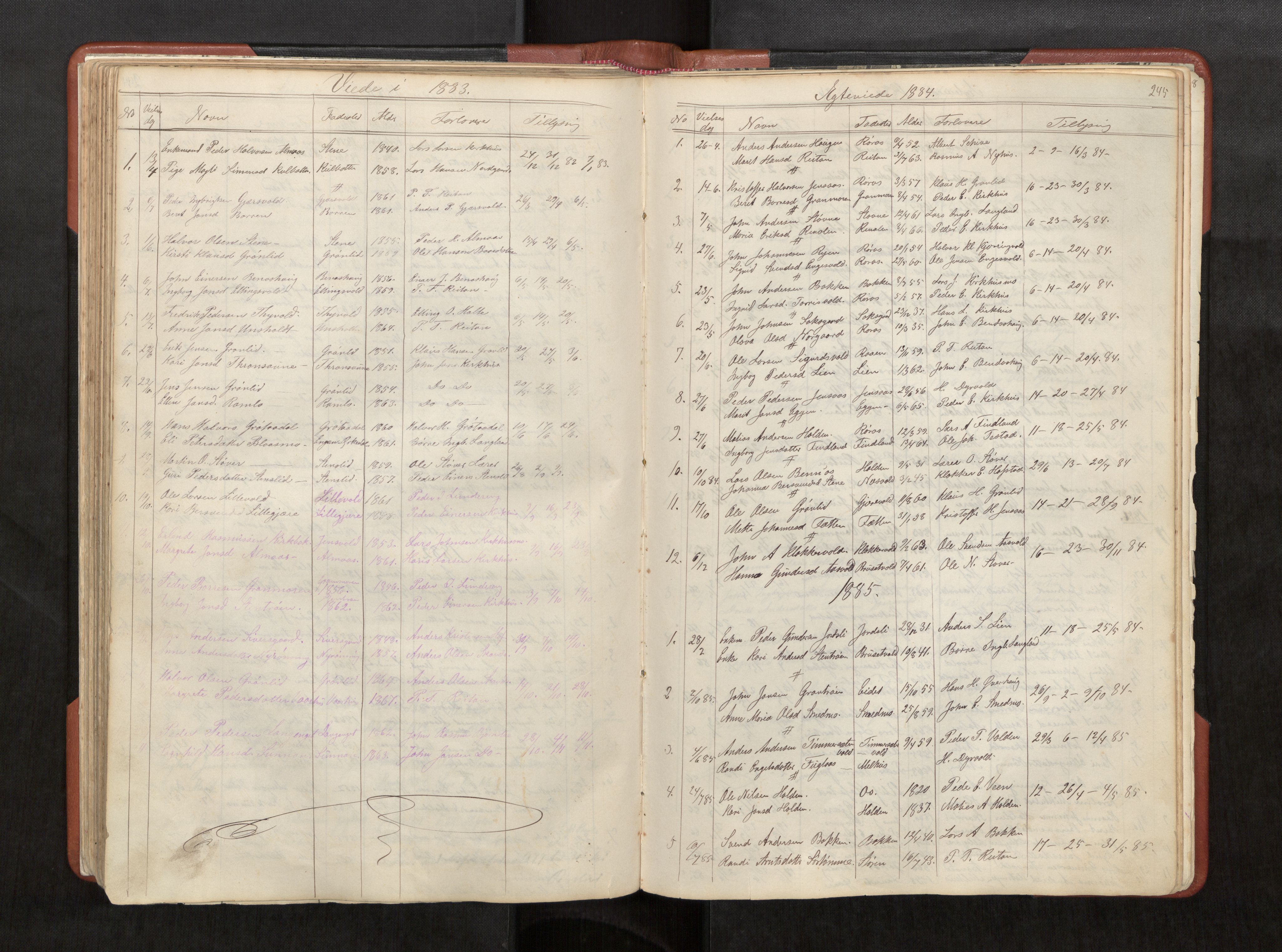 Ministerialprotokoller, klokkerbøker og fødselsregistre - Sør-Trøndelag, AV/SAT-A-1456/686/L0985: Klokkerbok nr. 686C01, 1871-1933, s. 245