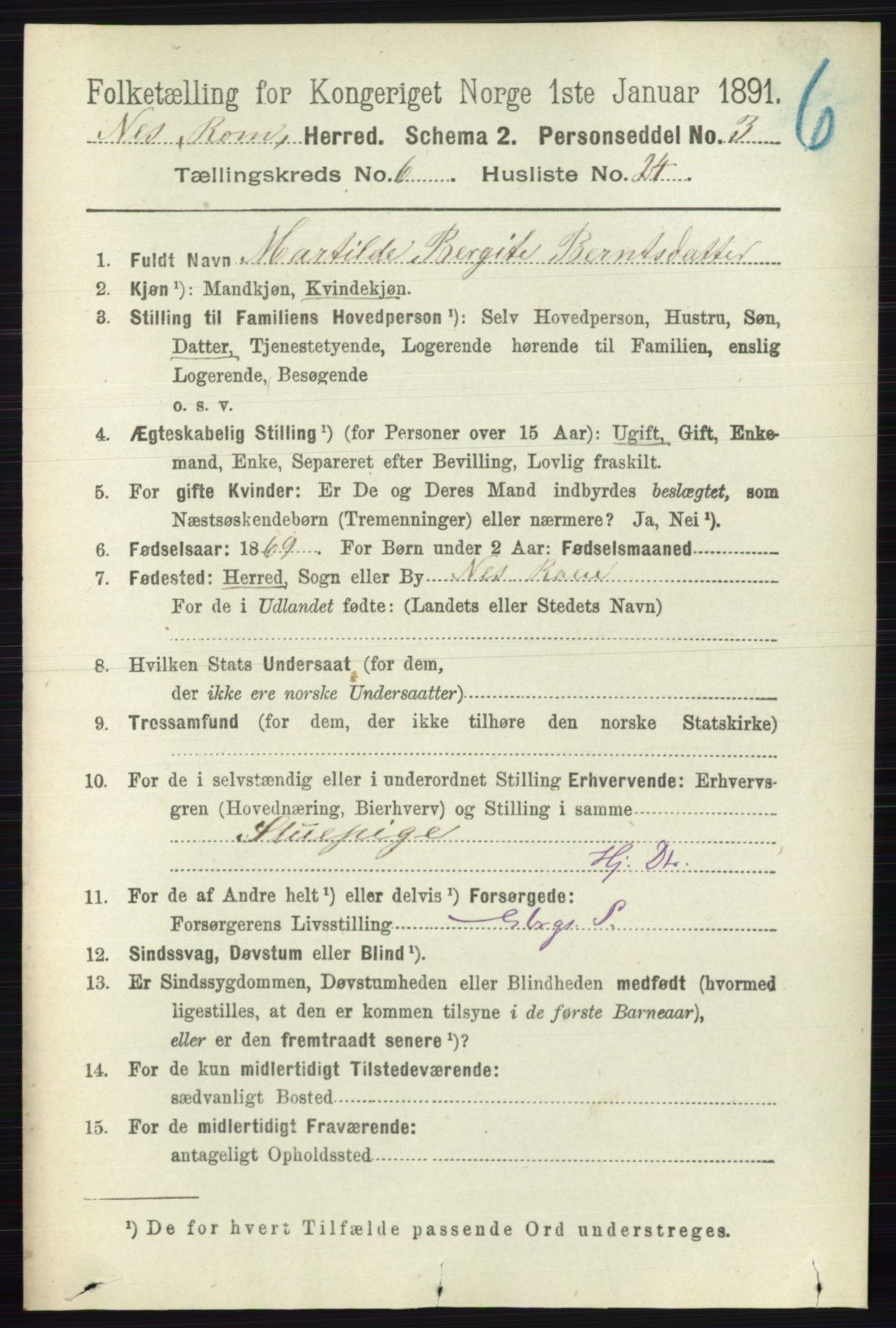 RA, Folketelling 1891 for 0236 Nes herred, 1891, s. 3520
