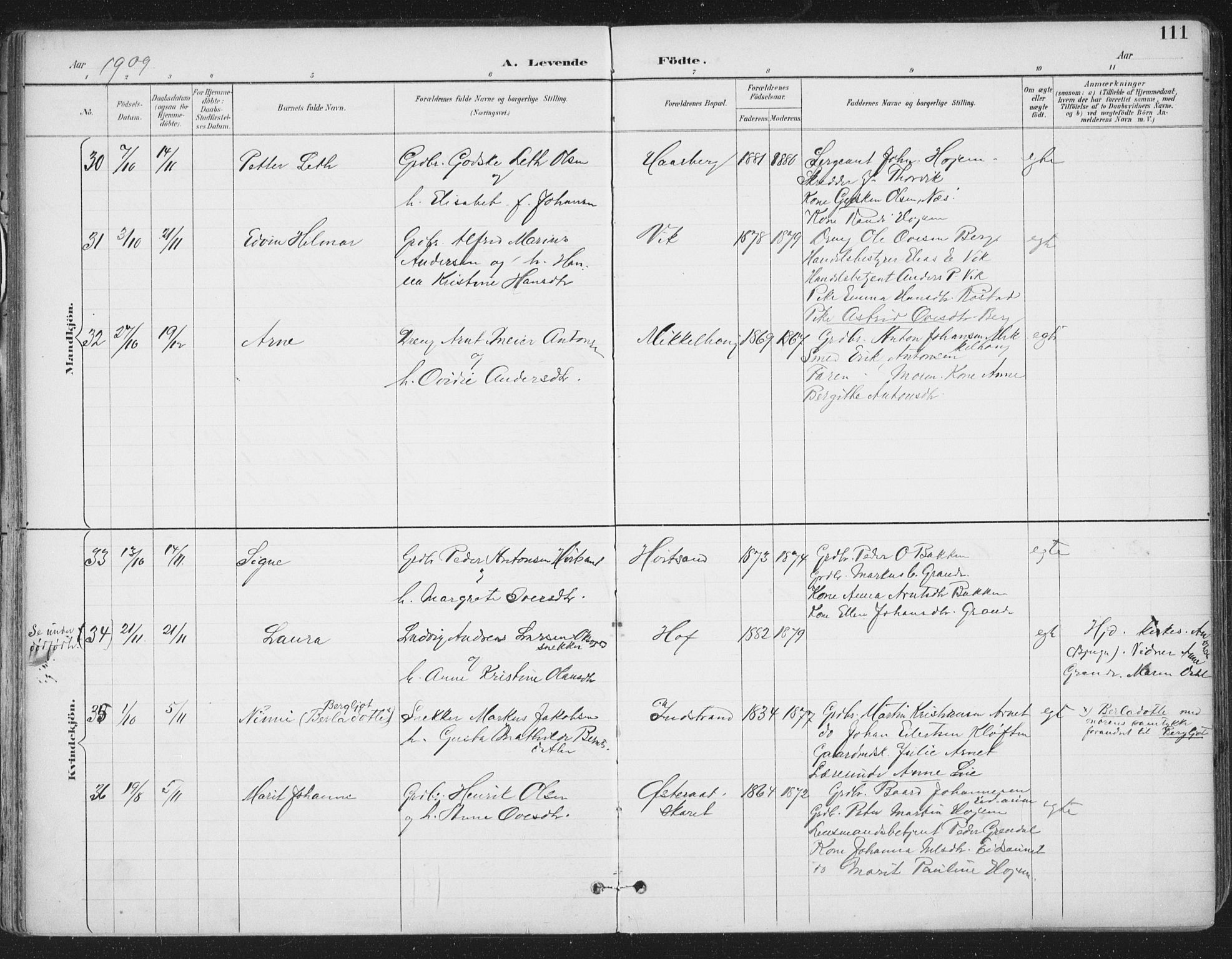 Ministerialprotokoller, klokkerbøker og fødselsregistre - Sør-Trøndelag, SAT/A-1456/659/L0743: Ministerialbok nr. 659A13, 1893-1910, s. 111