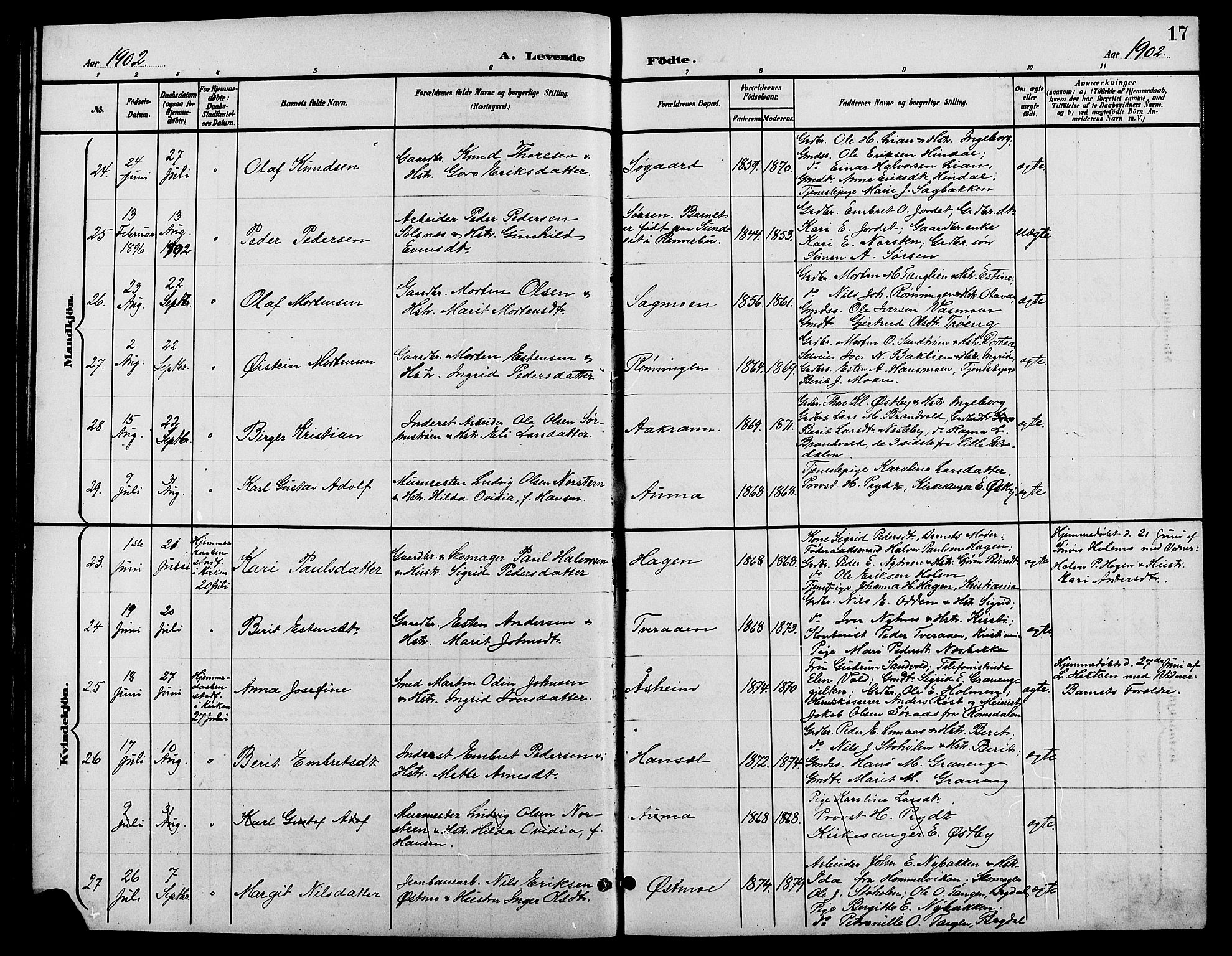 Tynset prestekontor, AV/SAH-PREST-058/H/Ha/Hab/L0009: Klokkerbok nr. 9, 1900-1914, s. 17