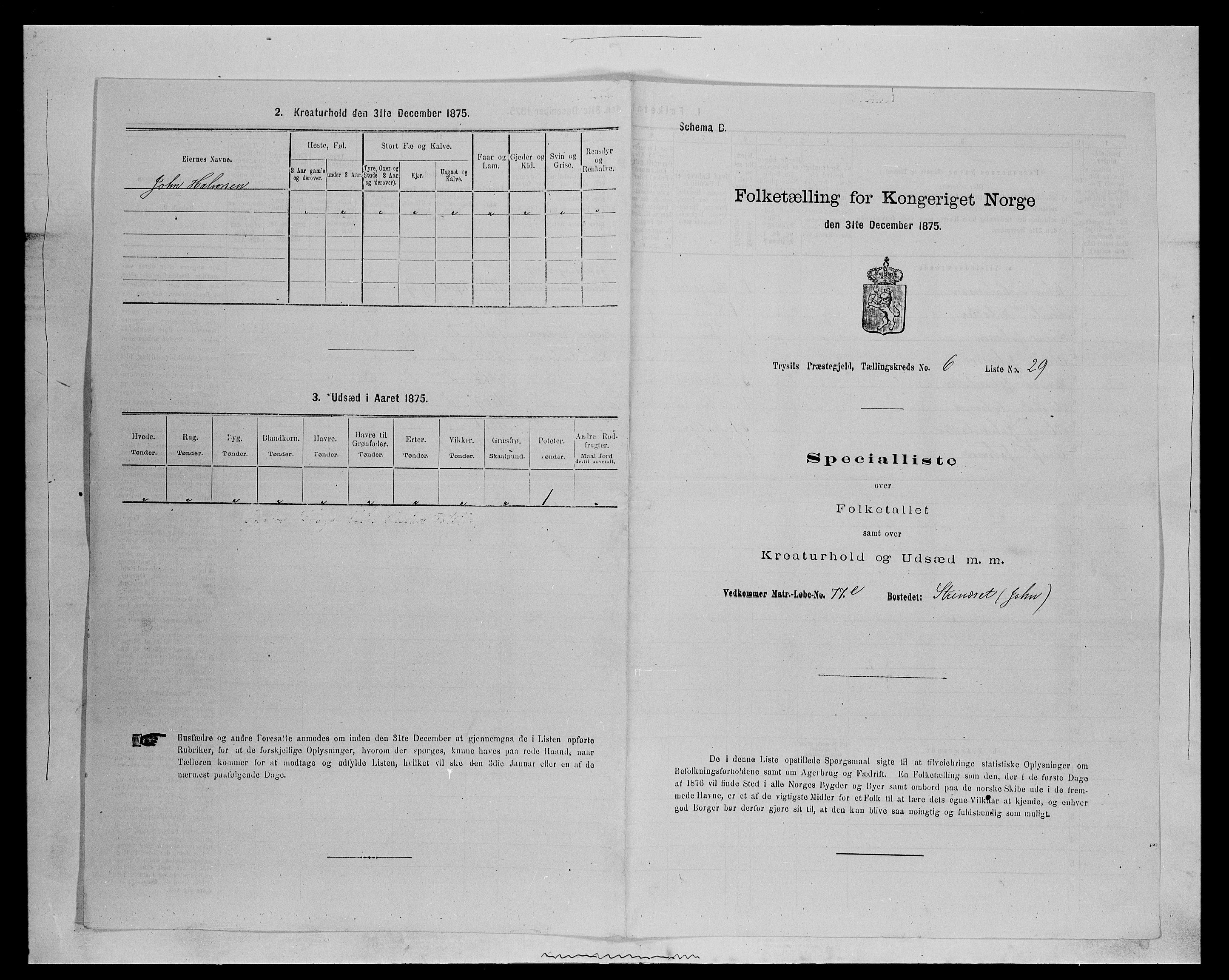 SAH, Folketelling 1875 for 0428P Trysil prestegjeld, 1875, s. 777