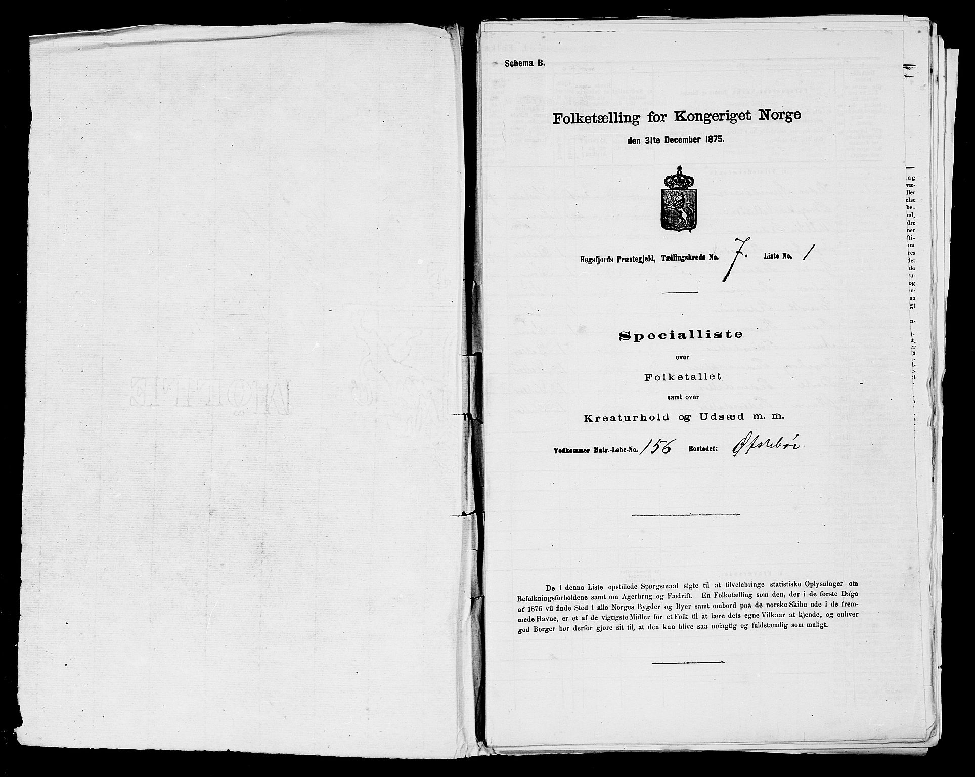 SAST, Folketelling 1875 for 1128P Høgsfjord prestegjeld, 1875, s. 596