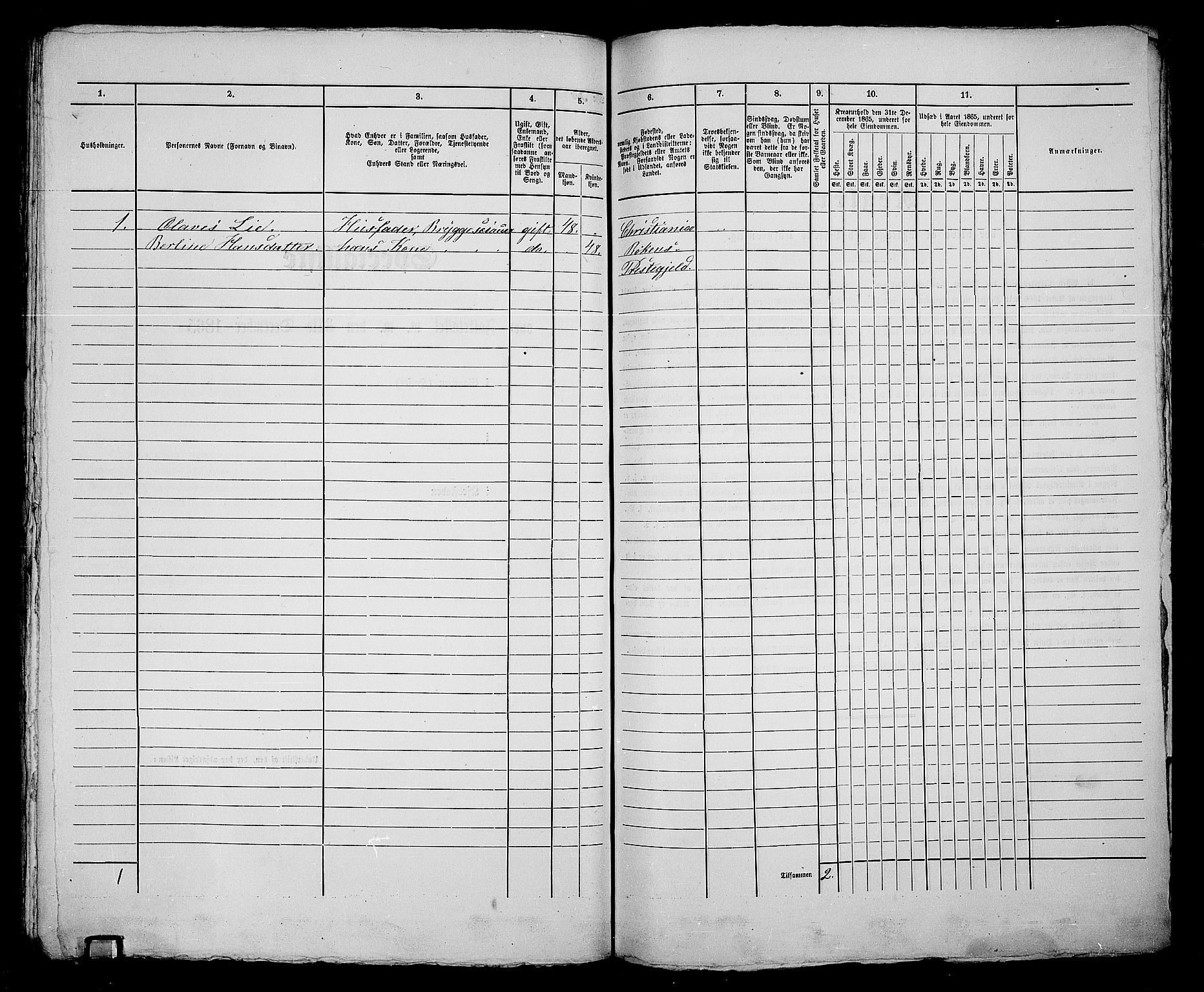 RA, Folketelling 1865 for 0203B Drøbak prestegjeld, Drøbak kjøpstad, 1865, s. 418