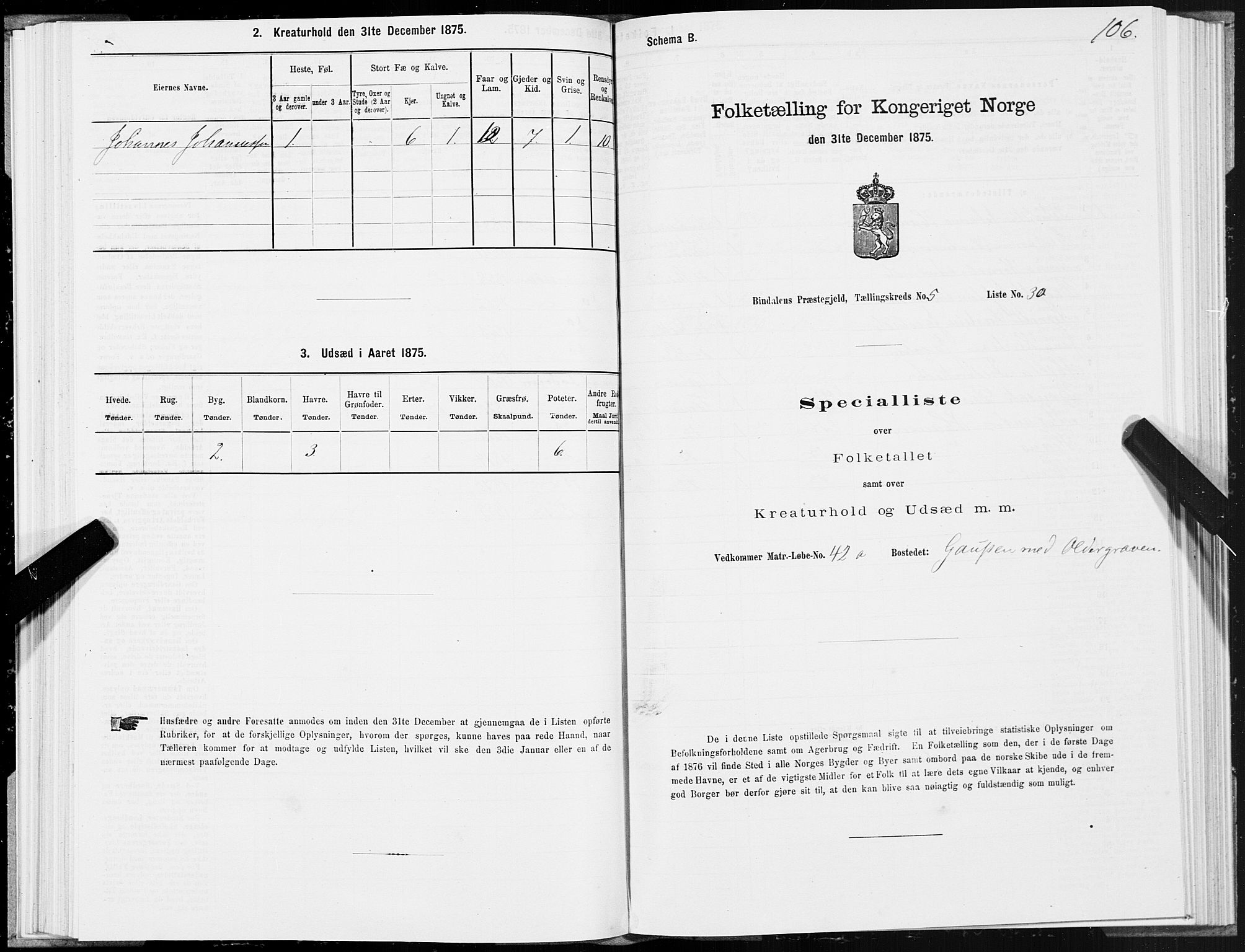 SAT, Folketelling 1875 for 1811P Bindal prestegjeld, 1875, s. 2106