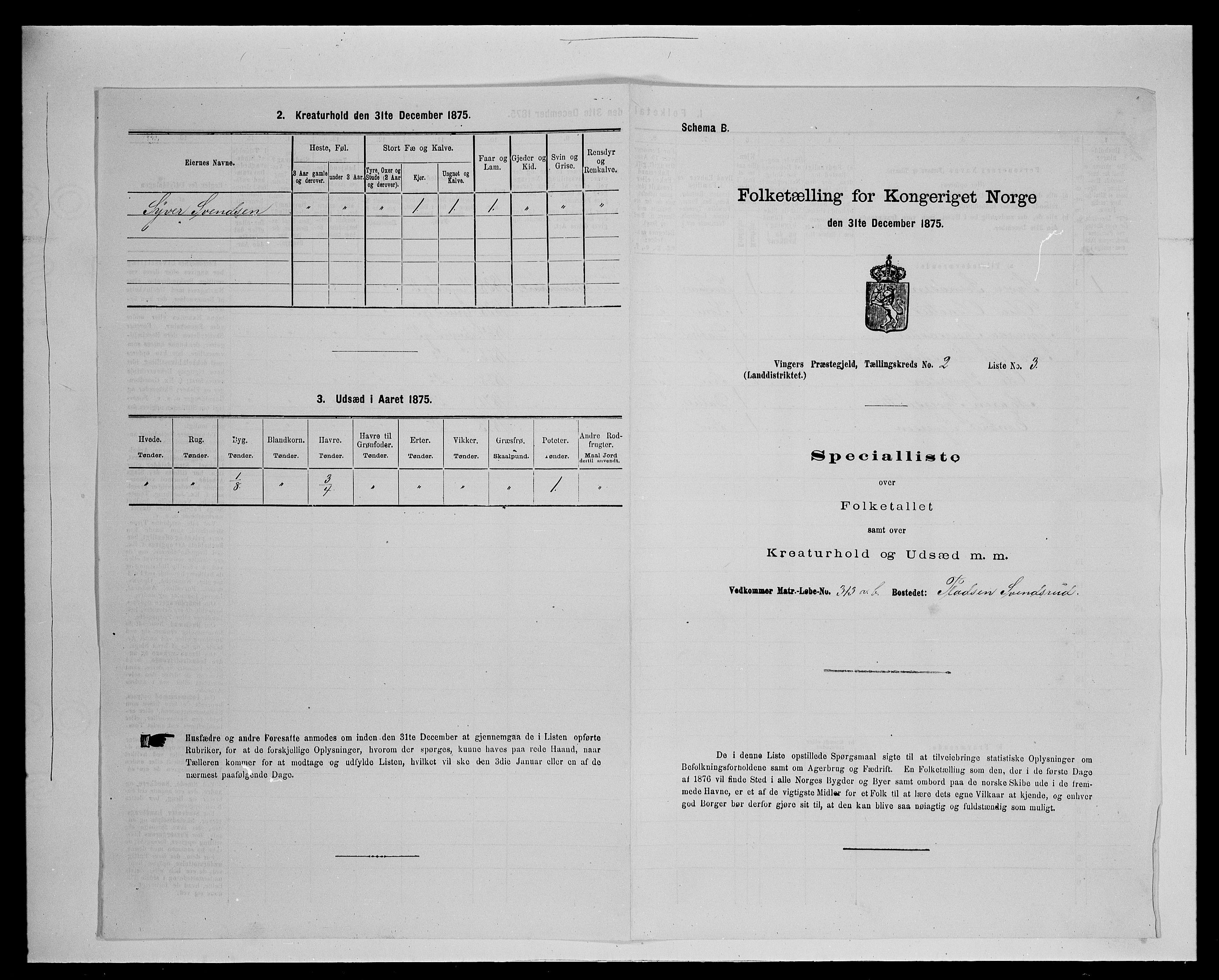 SAH, Folketelling 1875 for 0421L Vinger prestegjeld, Vinger sokn og Austmarka sokn, 1875, s. 221