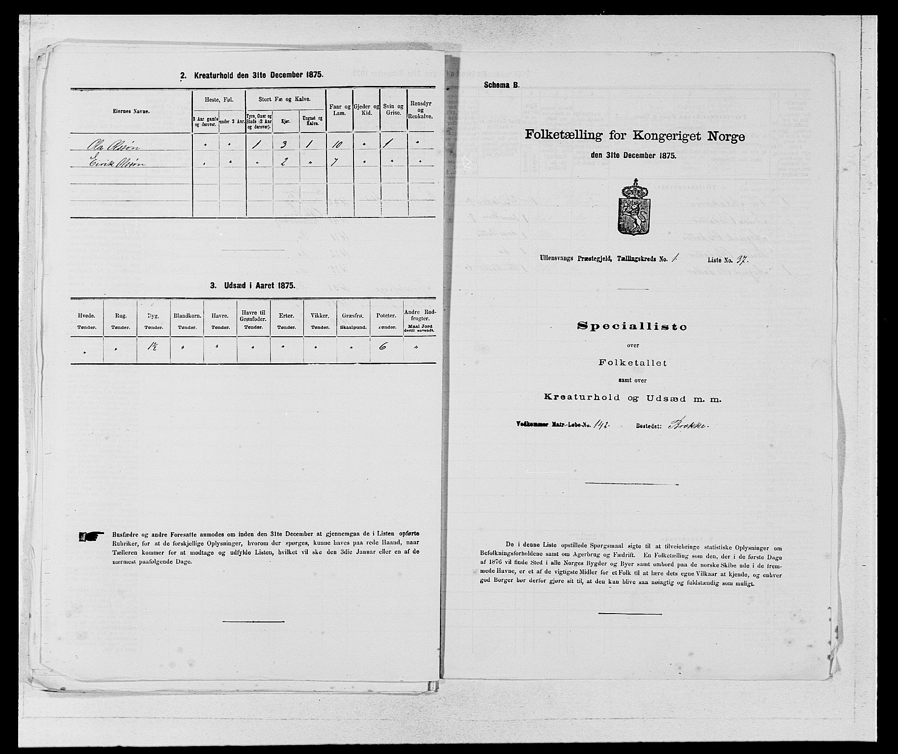 SAB, Folketelling 1875 for 1230P Ullensvang prestegjeld, 1875, s. 119