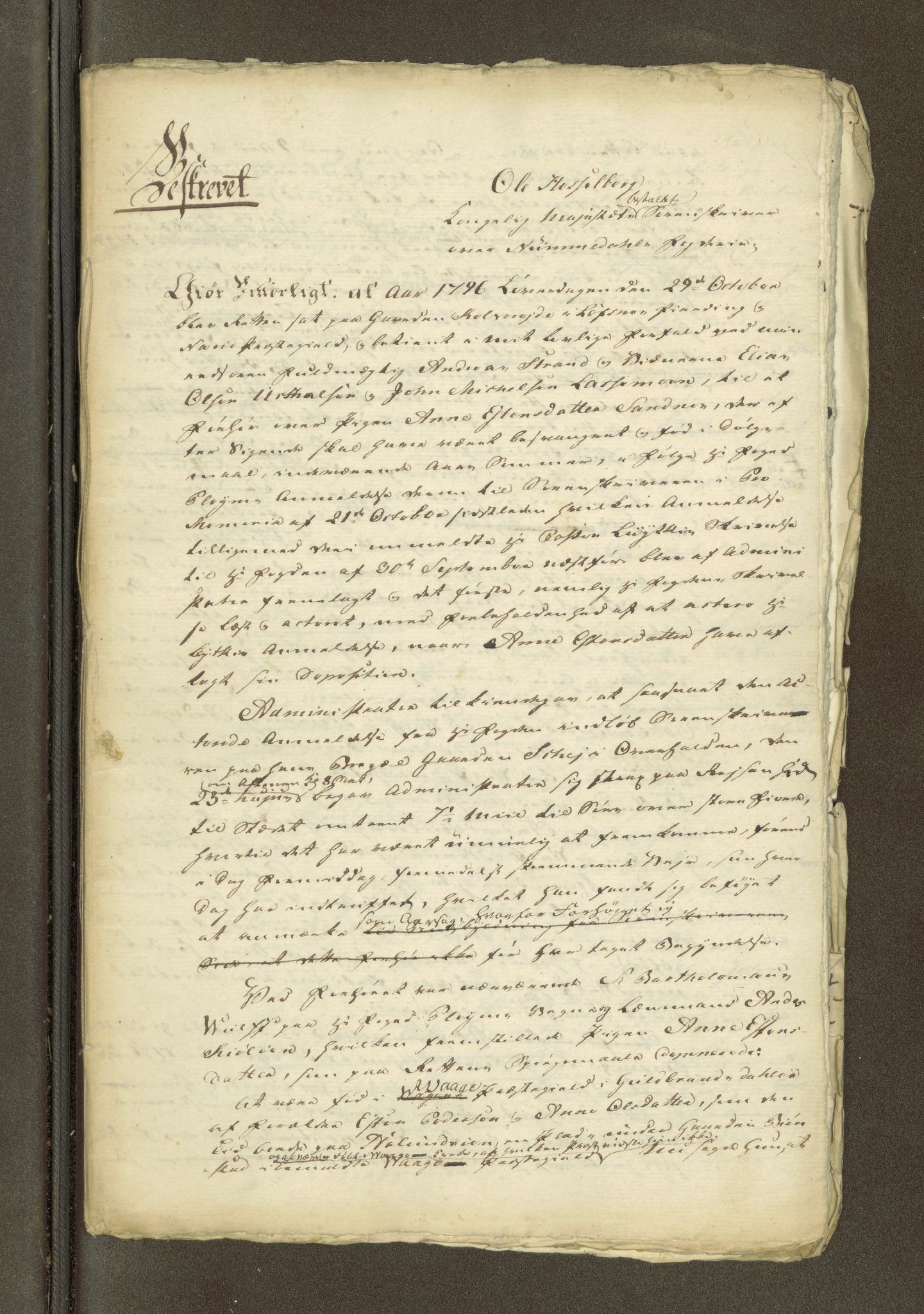 Namdal sorenskriveri, AV/SAT-A-4133/1/1/1O/1Oa/L0007: Sivile og offentlige saker, 1798, s. 67
