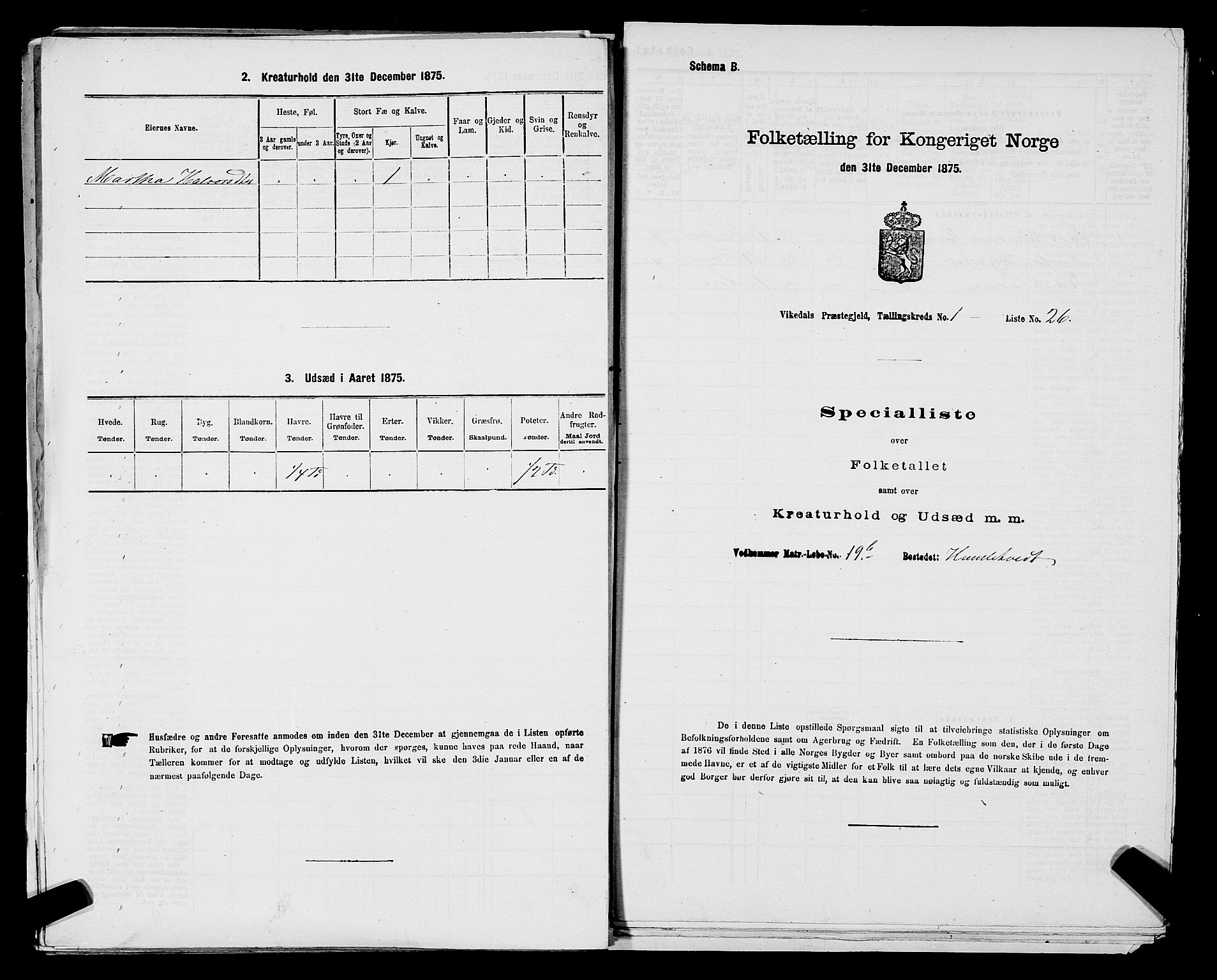 SAST, Folketelling 1875 for 1157P Vikedal prestegjeld, 1875, s. 119