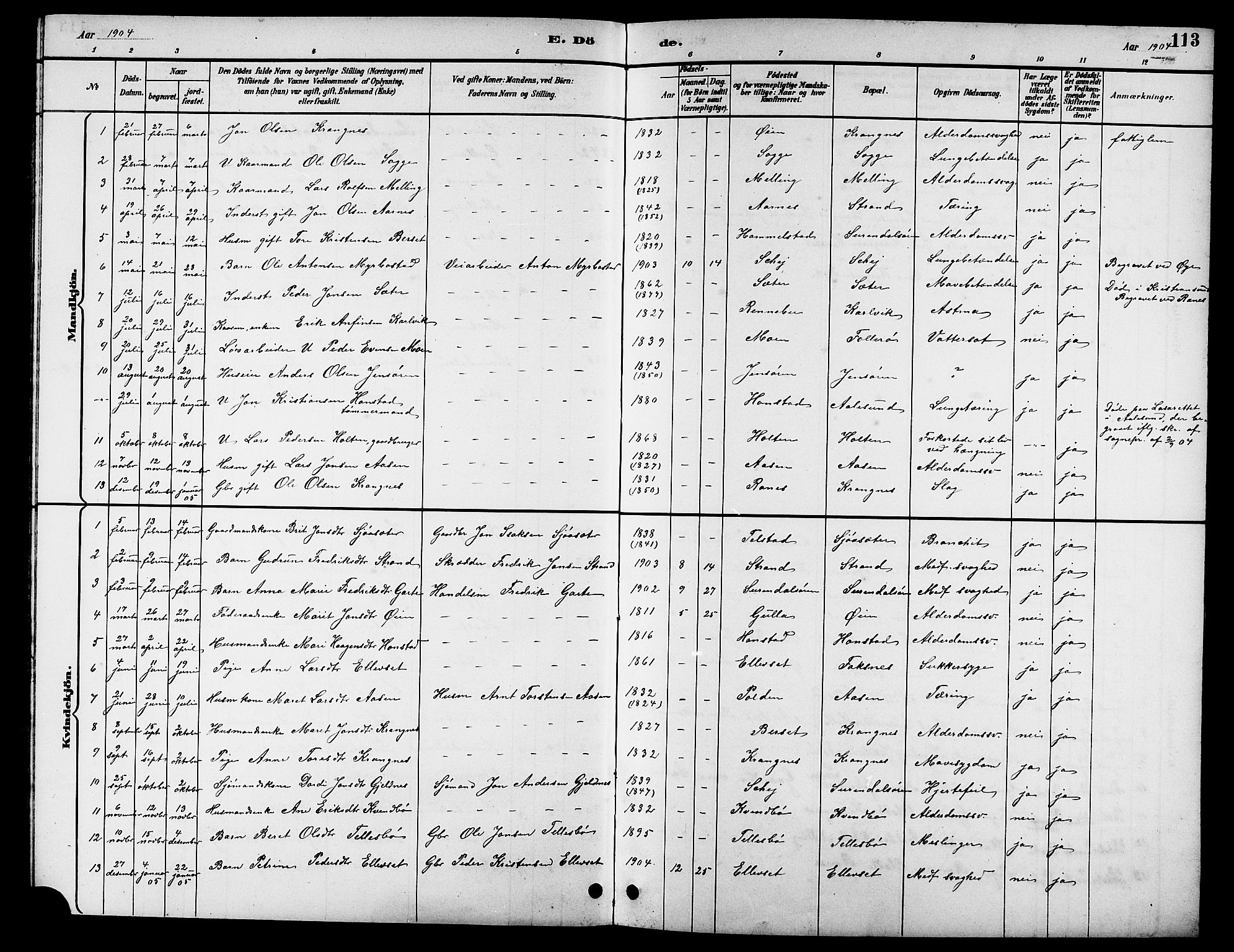 Ministerialprotokoller, klokkerbøker og fødselsregistre - Møre og Romsdal, AV/SAT-A-1454/596/L1058: Klokkerbok nr. 596C01, 1891-1907, s. 113