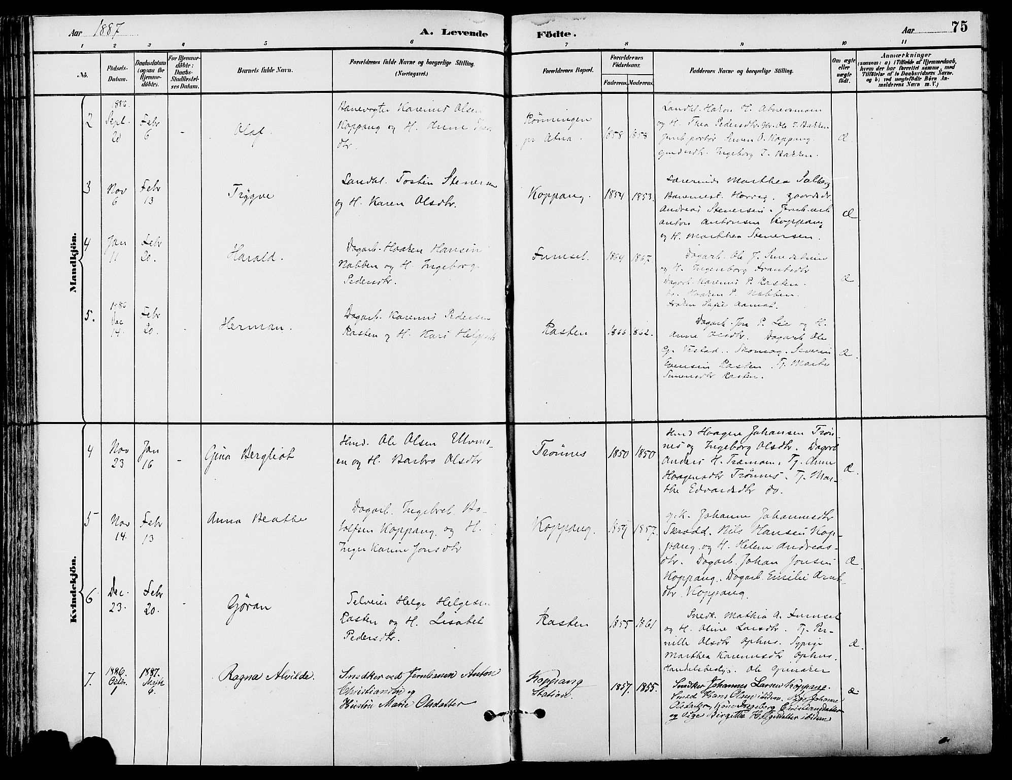 Stor-Elvdal prestekontor, AV/SAH-PREST-052/H/Ha/Haa/L0002: Ministerialbok nr. 2, 1882-1907, s. 75