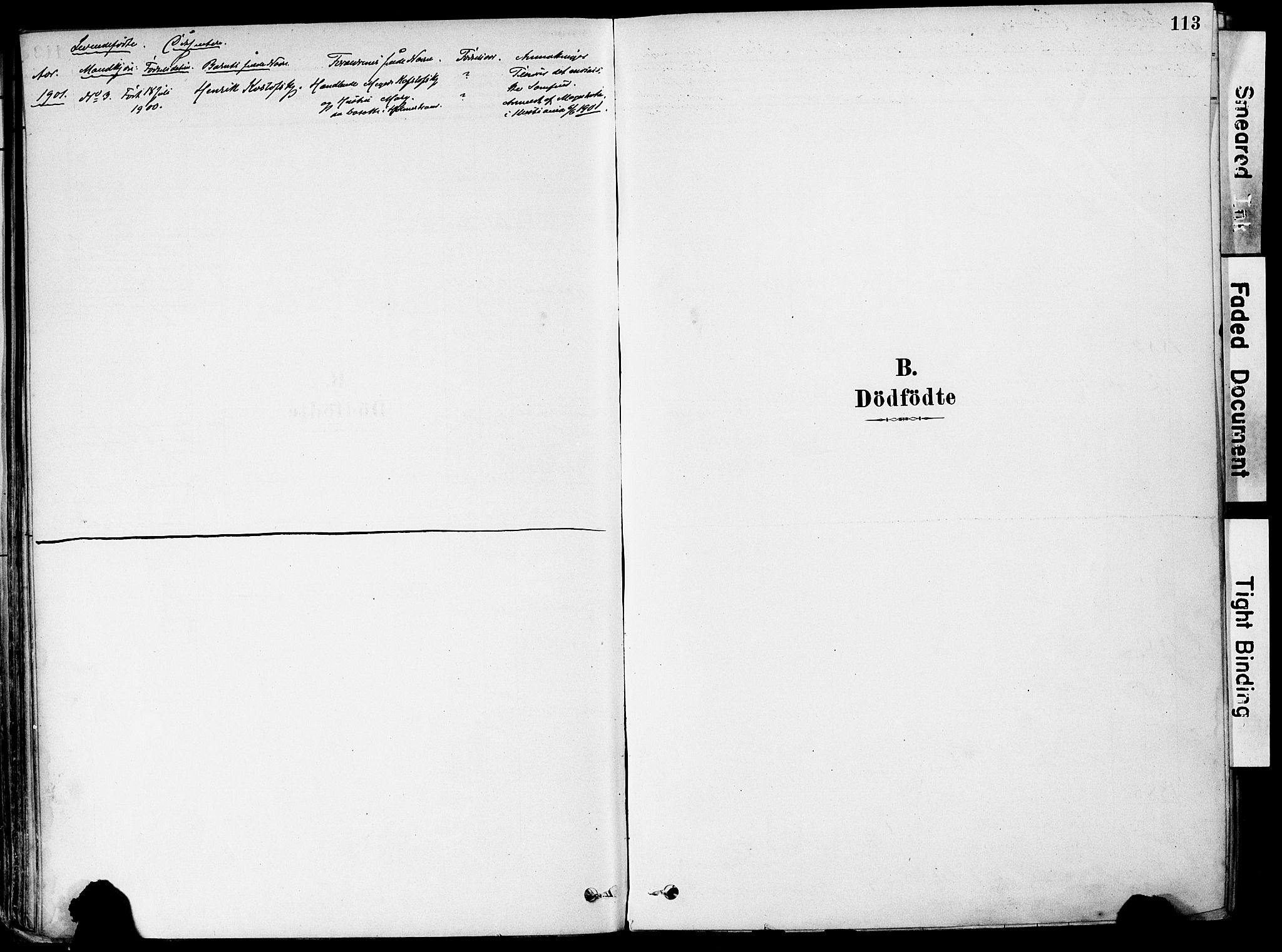 Holmestrand kirkebøker, AV/SAKO-A-346/F/Fa/L0004: Ministerialbok nr. 4, 1880-1901, s. 113