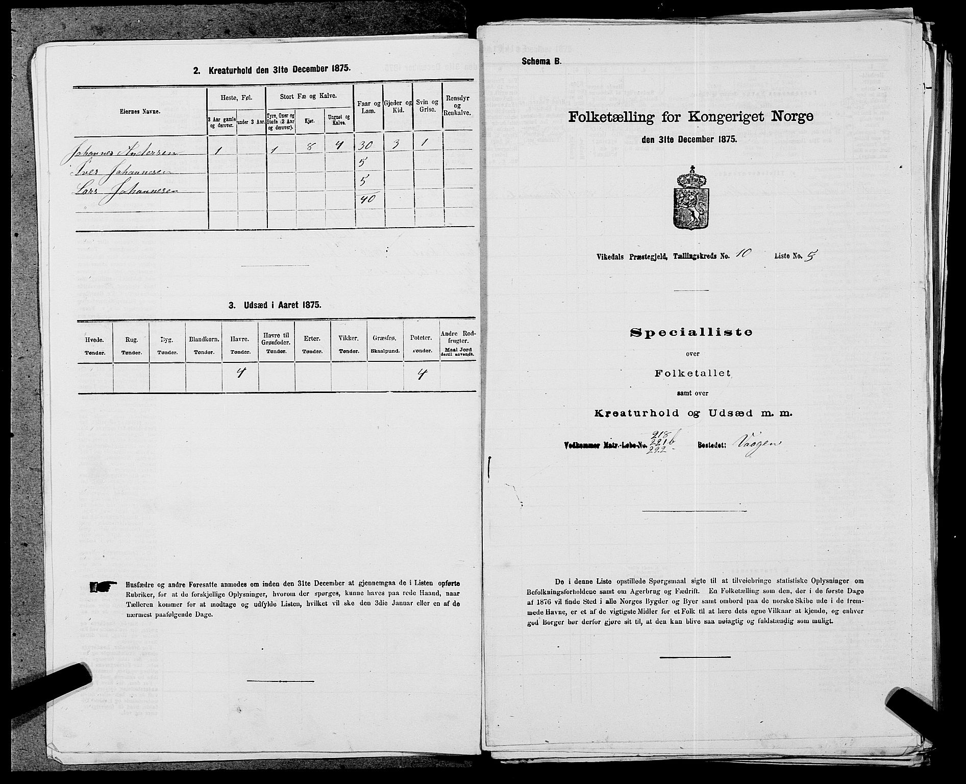 SAST, Folketelling 1875 for 1157P Vikedal prestegjeld, 1875, s. 1064