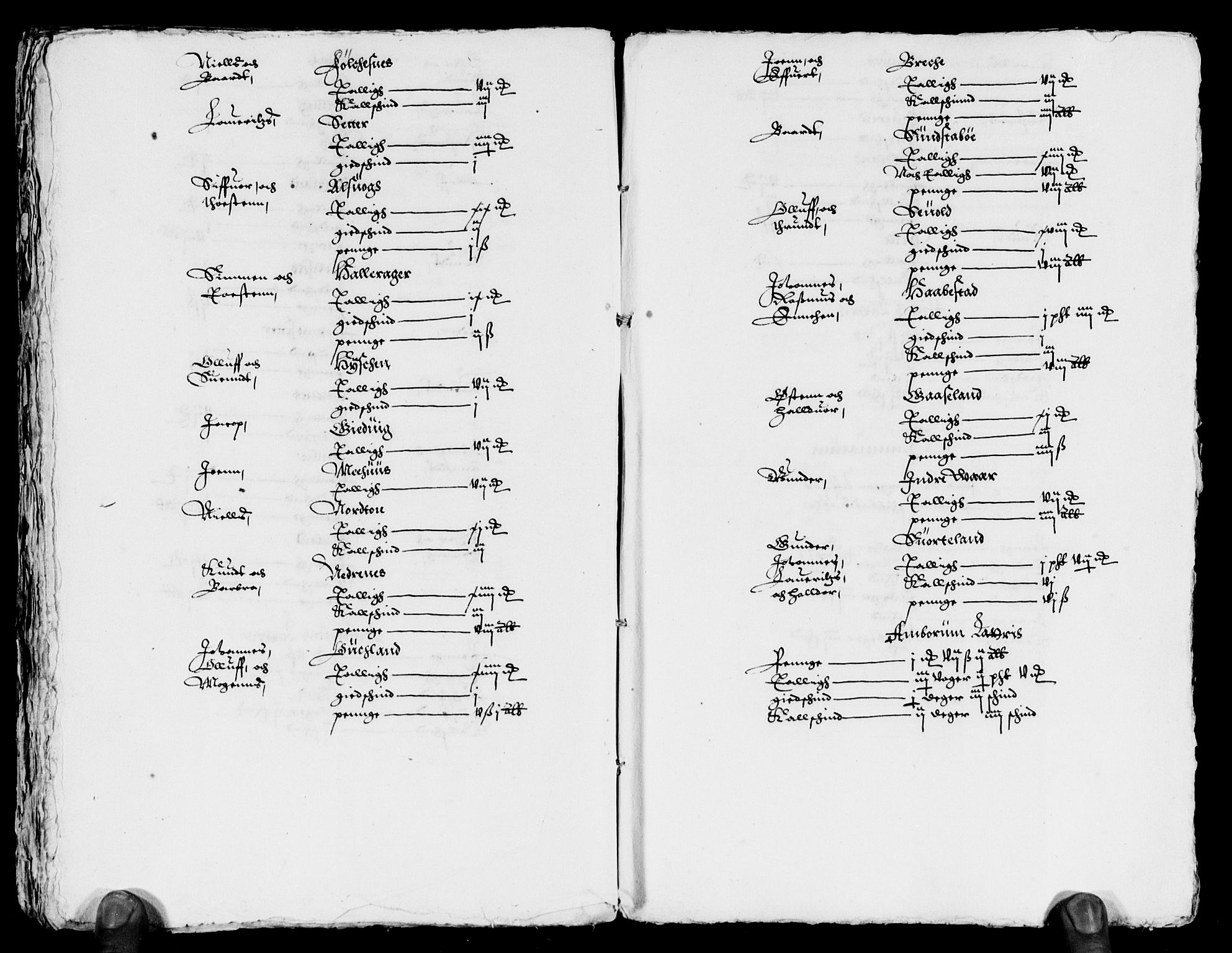 Rentekammeret inntil 1814, Reviderte regnskaper, Lensregnskaper, AV/RA-EA-5023/R/Rb/Rbt/L0030: Bergenhus len, 1620-1621