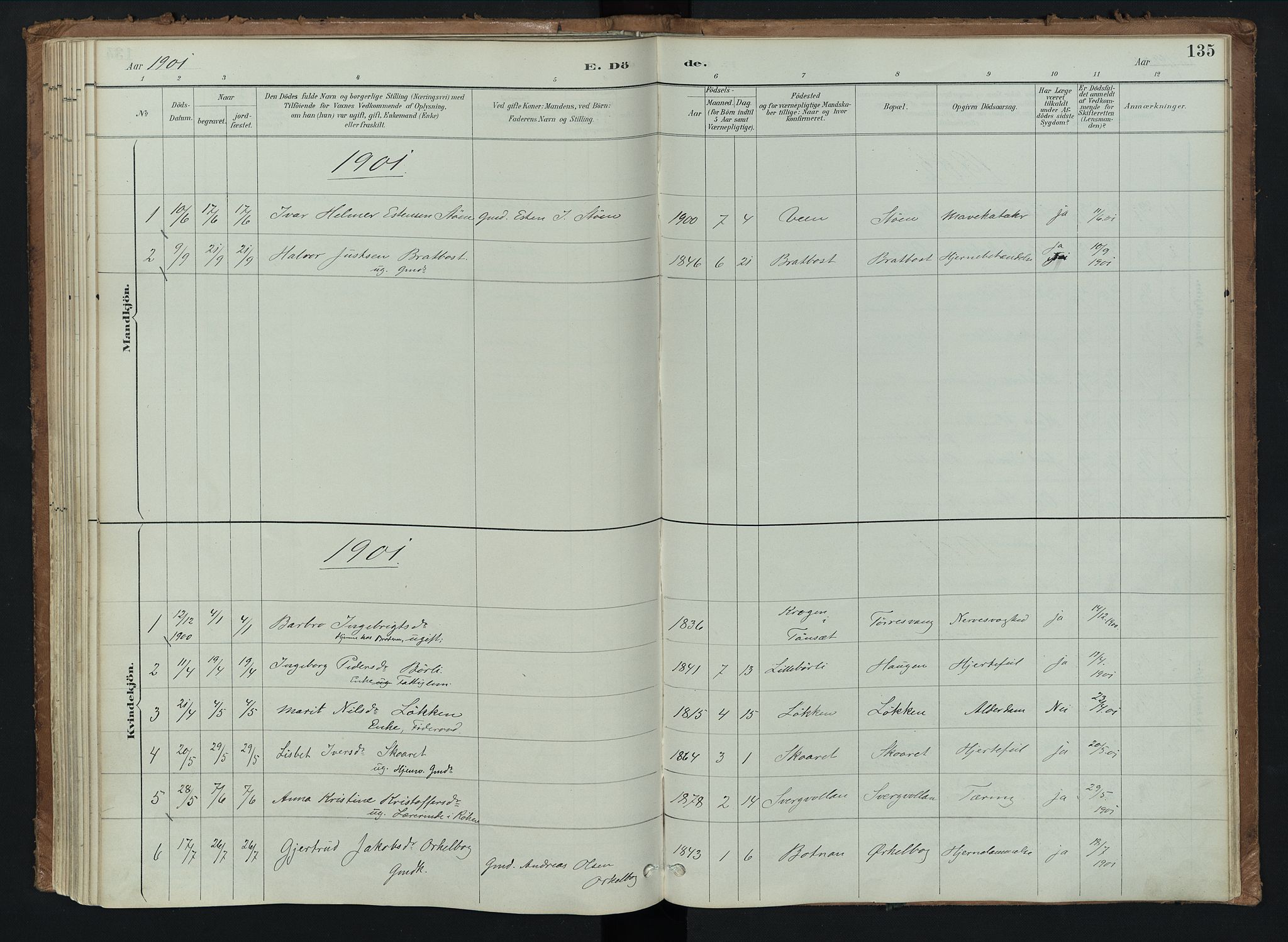 Kvikne prestekontor, AV/SAH-PREST-064/H/Ha/Haa/L0008: Ministerialbok nr. 8, 1887-1911, s. 135