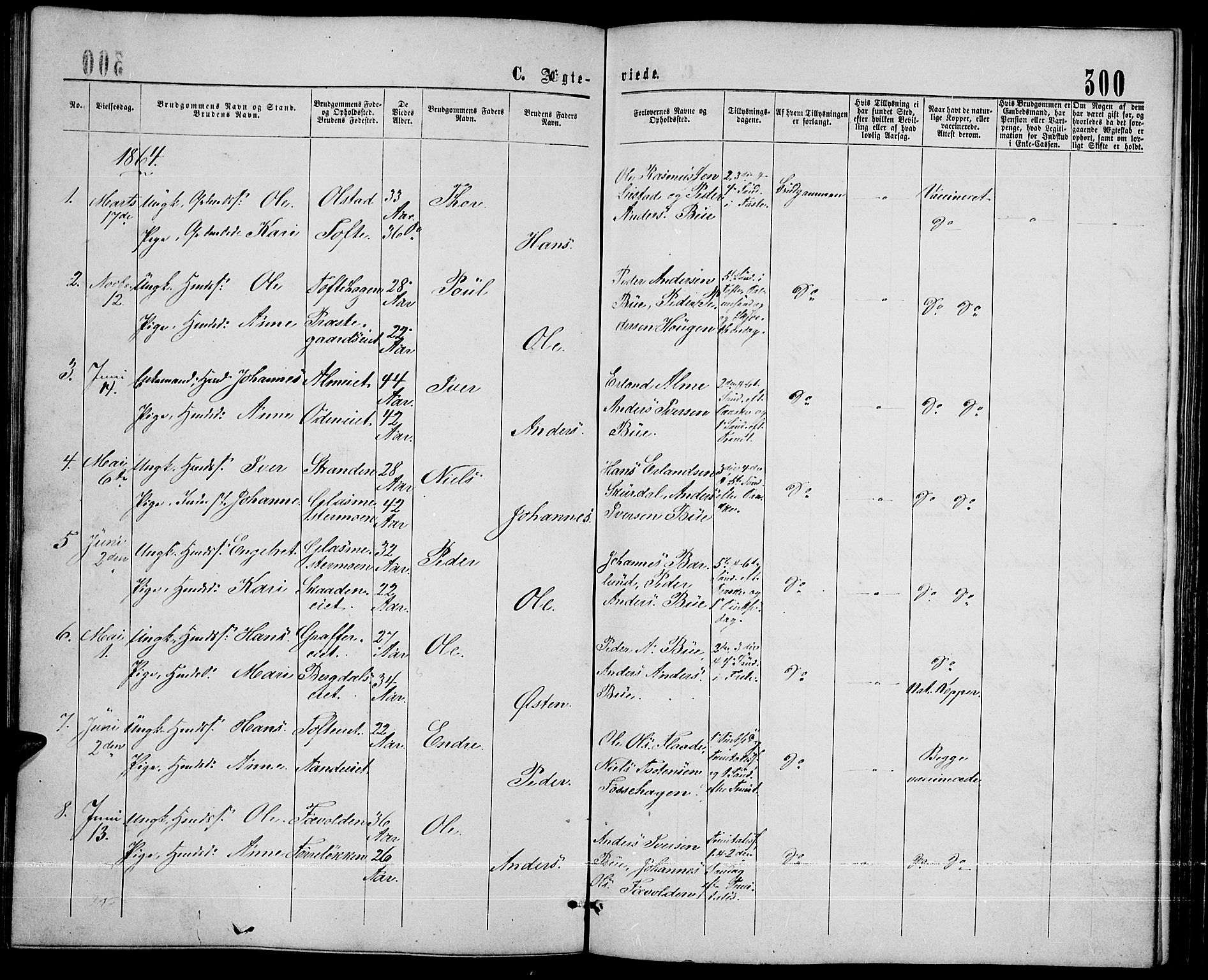 Sør-Fron prestekontor, AV/SAH-PREST-010/H/Ha/Hab/L0002: Klokkerbok nr. 2, 1864-1883, s. 300