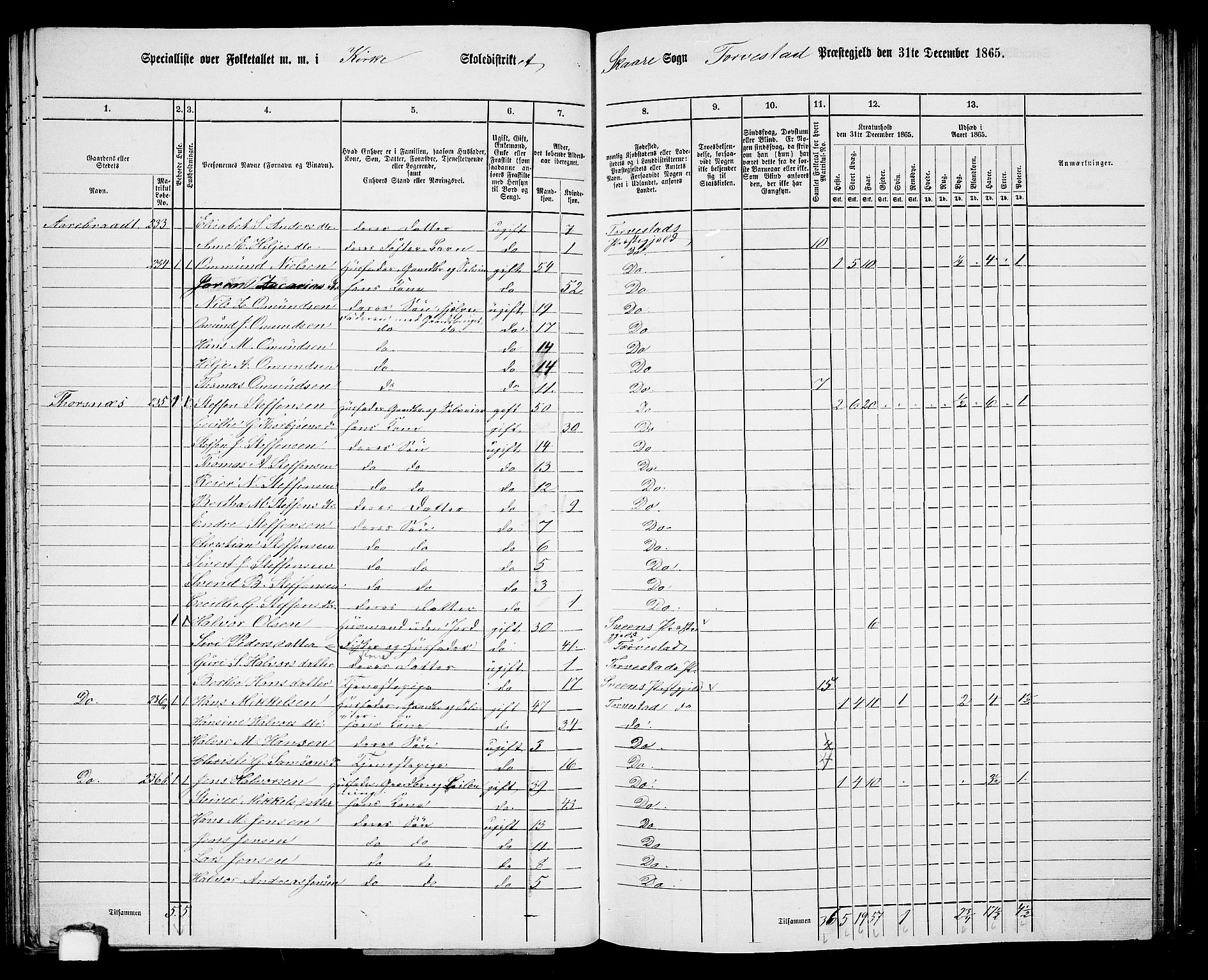 RA, Folketelling 1865 for 1152L Torvastad prestegjeld, Torvastad sokn, Skåre sokn og Utsira sokn, 1865, s. 76