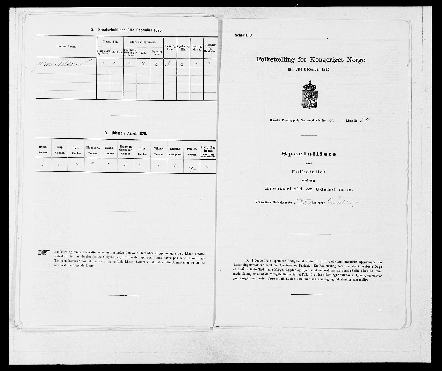 SAB, Folketelling 1875 for 1251P Bruvik prestegjeld, 1875, s. 485