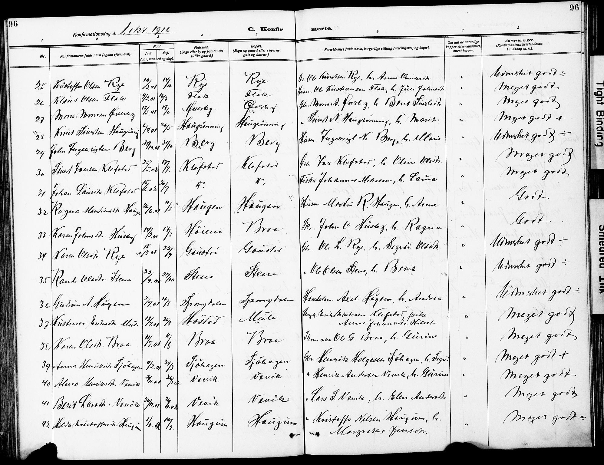 Ministerialprotokoller, klokkerbøker og fødselsregistre - Sør-Trøndelag, SAT/A-1456/612/L0388: Klokkerbok nr. 612C04, 1909-1929, s. 96