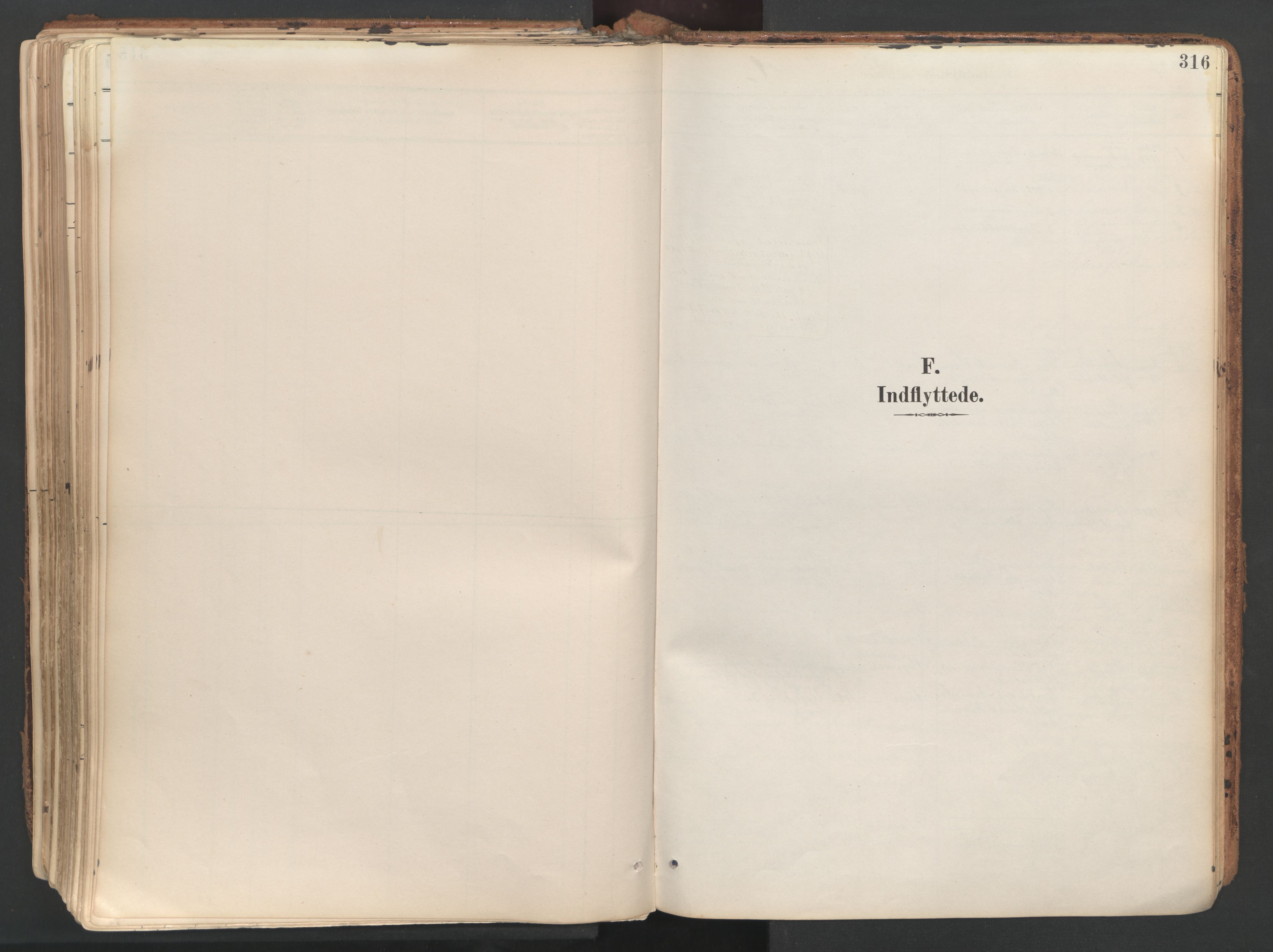 Ministerialprotokoller, klokkerbøker og fødselsregistre - Sør-Trøndelag, SAT/A-1456/687/L1004: Ministerialbok nr. 687A10, 1891-1923, s. 316