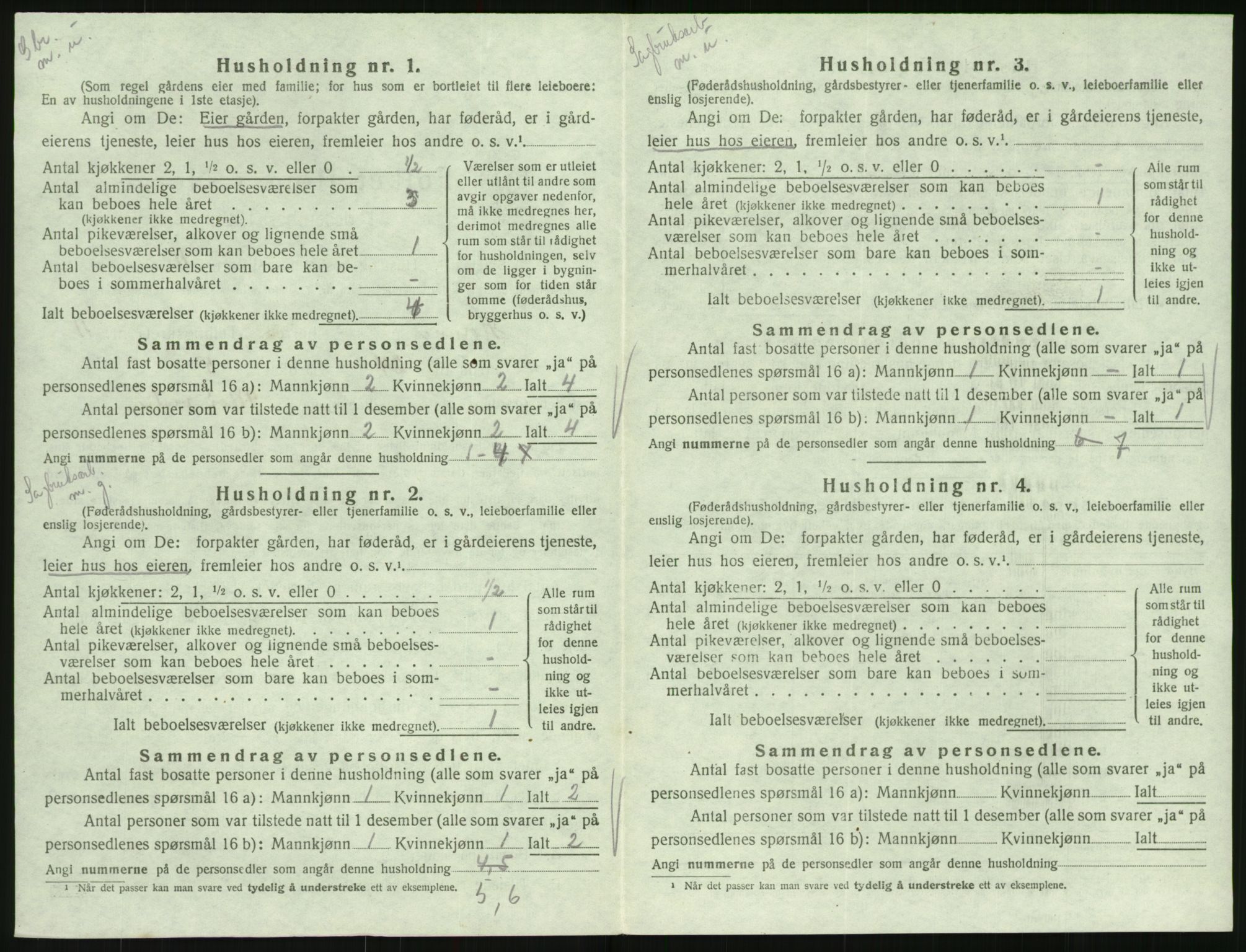 SAK, Folketelling 1920 for 0936 Hornnes herred, 1920, s. 450