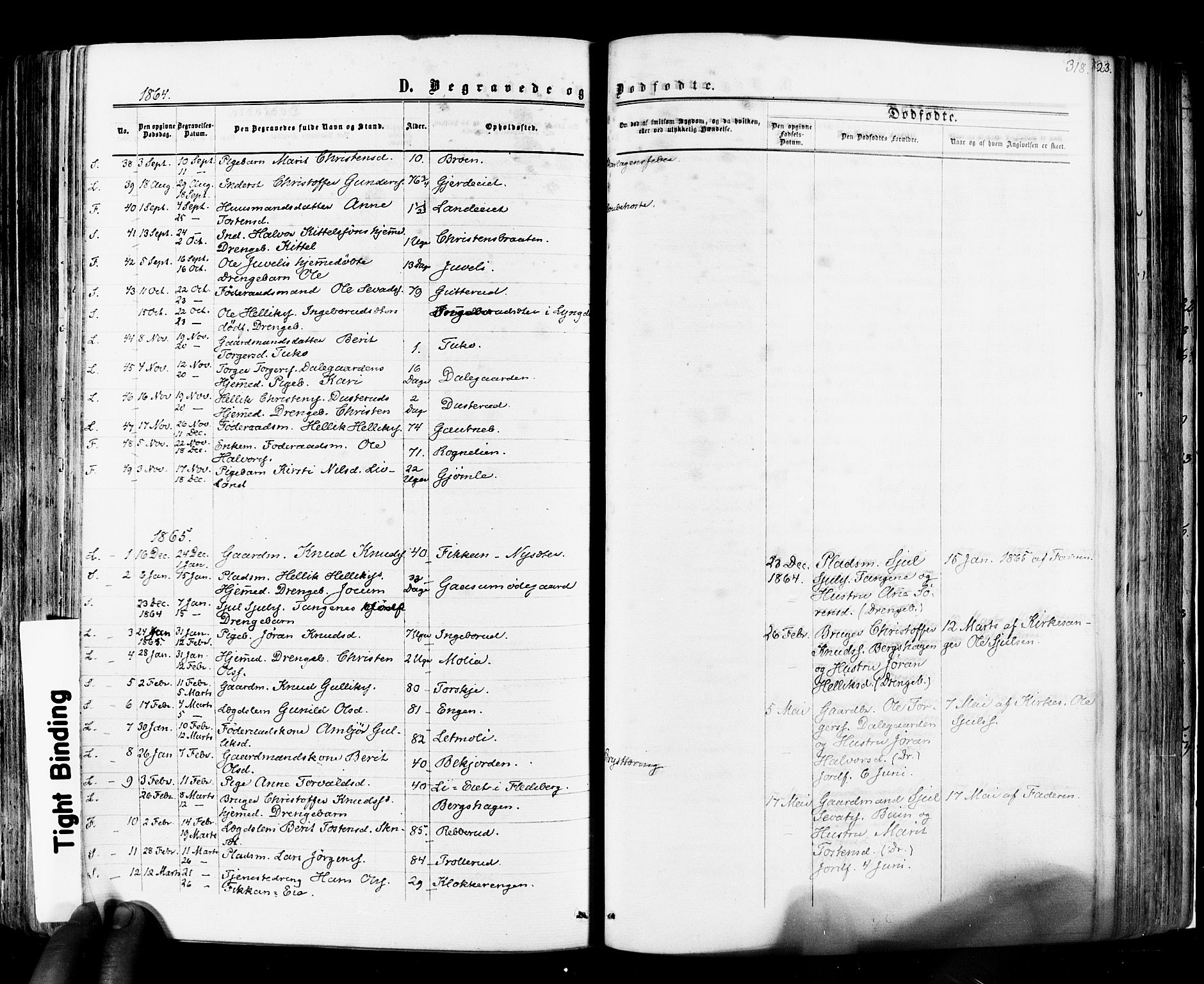 Flesberg kirkebøker, AV/SAKO-A-18/F/Fa/L0007: Ministerialbok nr. I 7, 1861-1878, s. 318