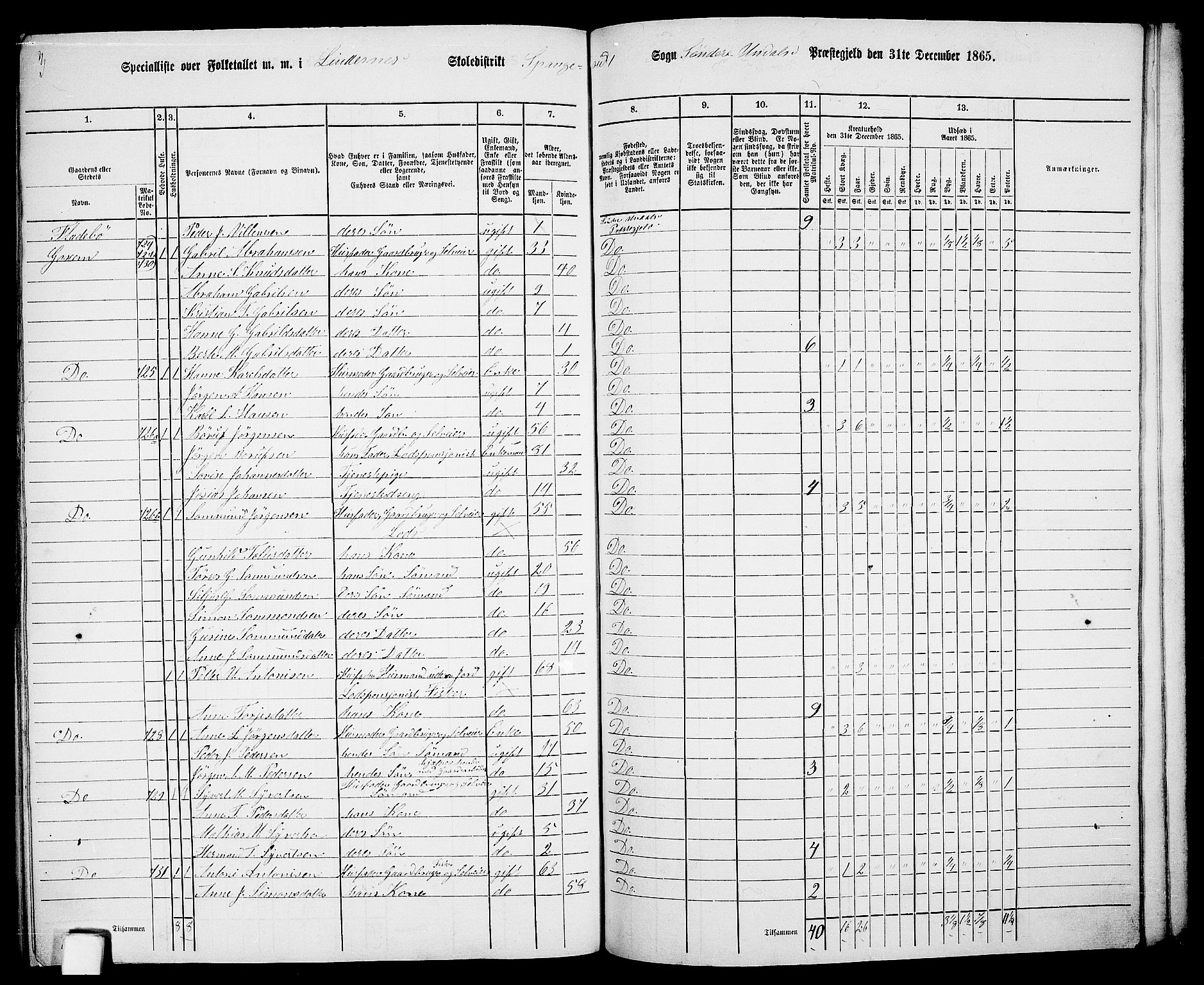 RA, Folketelling 1865 for 1029P Sør-Audnedal prestegjeld, 1865, s. 185