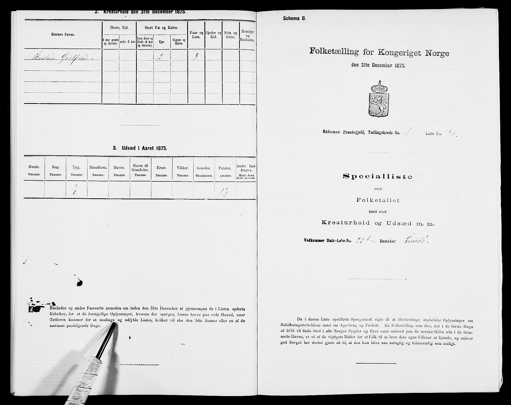 SAK, Folketelling 1875 for 1012P Oddernes prestegjeld, 1875, s. 117