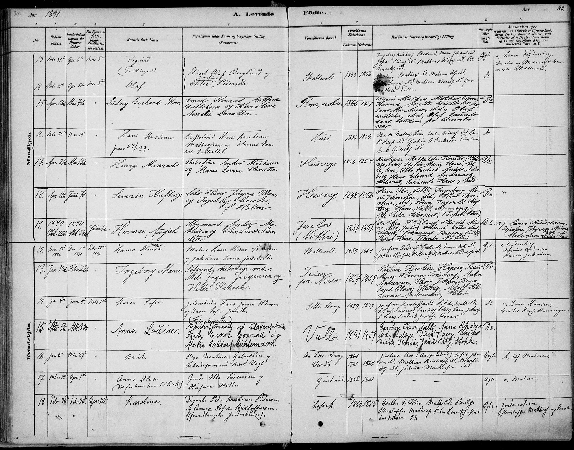 Sem kirkebøker, AV/SAKO-A-5/F/Fb/L0004: Ministerialbok nr. II 4, 1878-1891, s. 113