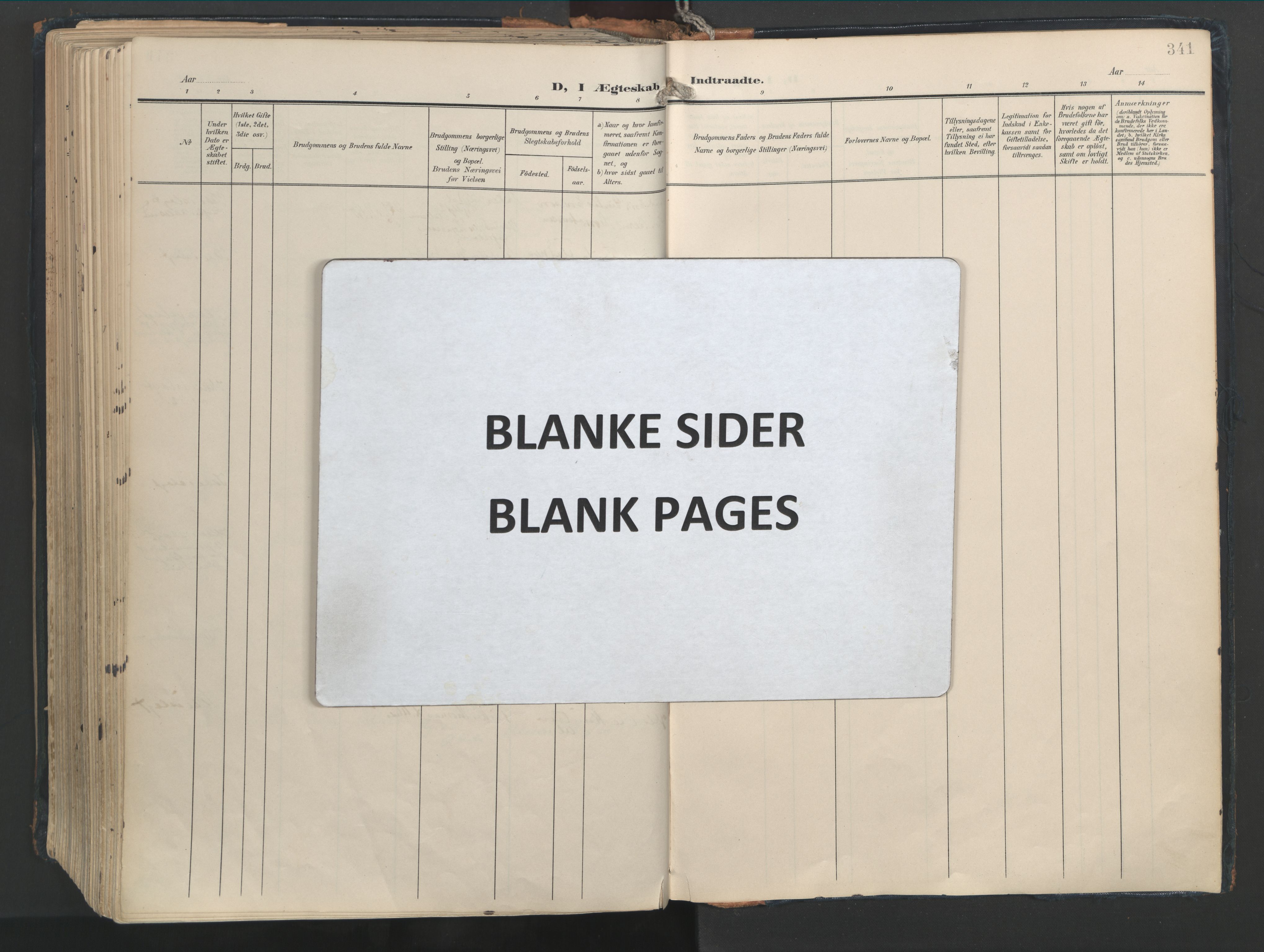 Ministerialprotokoller, klokkerbøker og fødselsregistre - Møre og Romsdal, SAT/A-1454/528/L0411: Ministerialbok nr. 528A20, 1907-1920, s. 341