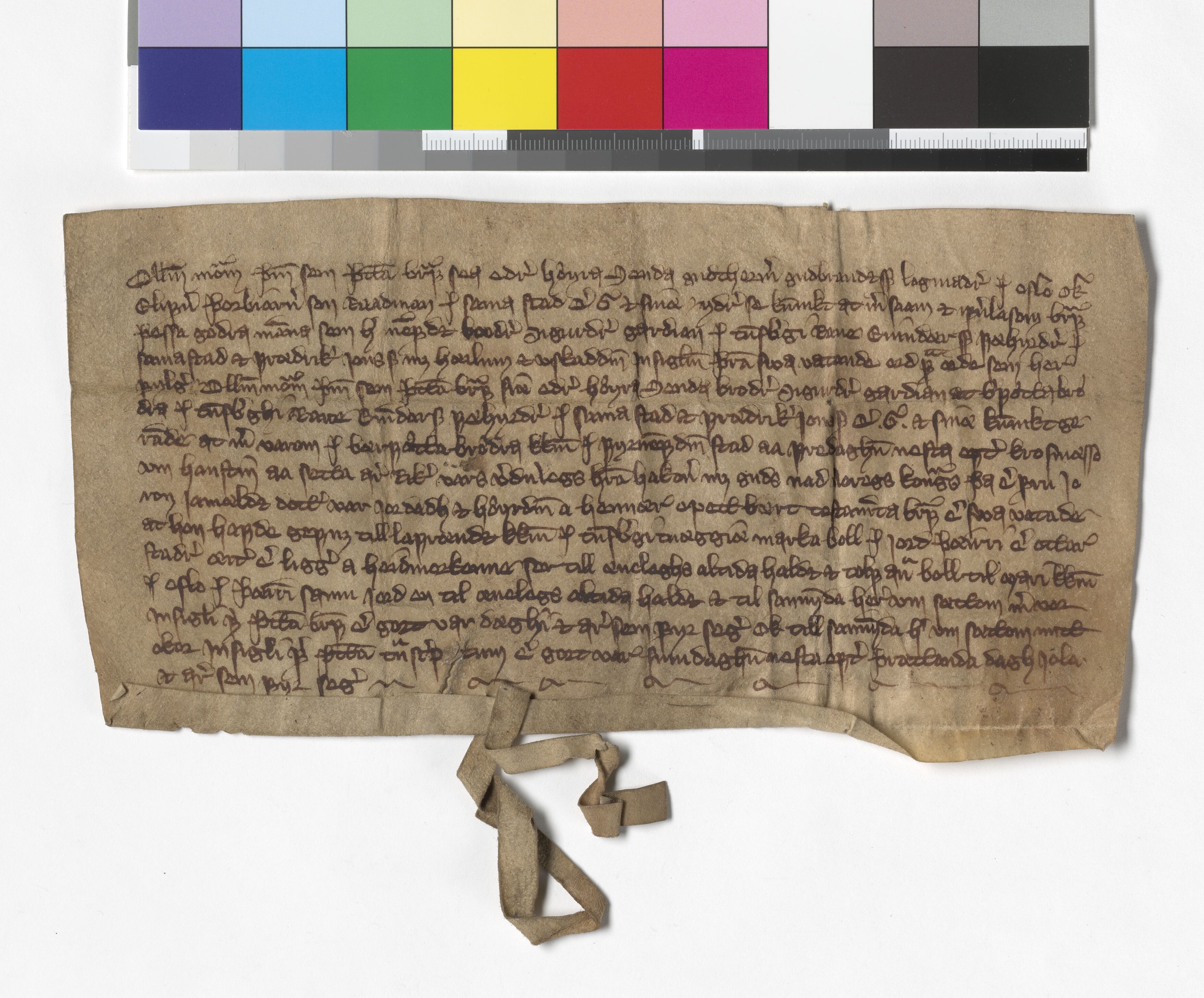 Riksarkivets diplomsamling, AV/RA-EA-5965/F05/L0172: NRA AM fasc. 69 nr. 11 - fasc. 70 nr. 10, 1361-1362, s. 5