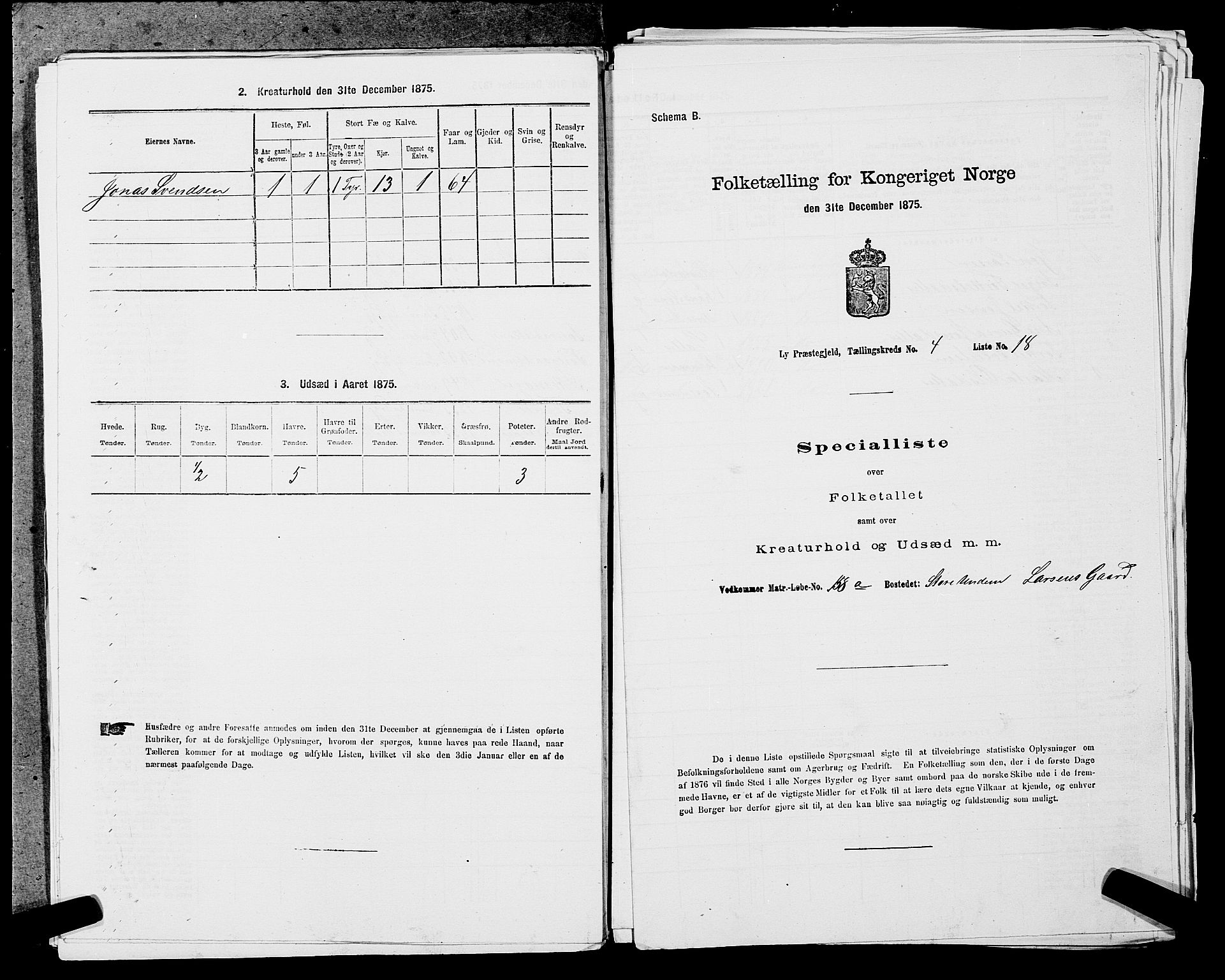 SAST, Folketelling 1875 for 1121P Lye prestegjeld, 1875, s. 507