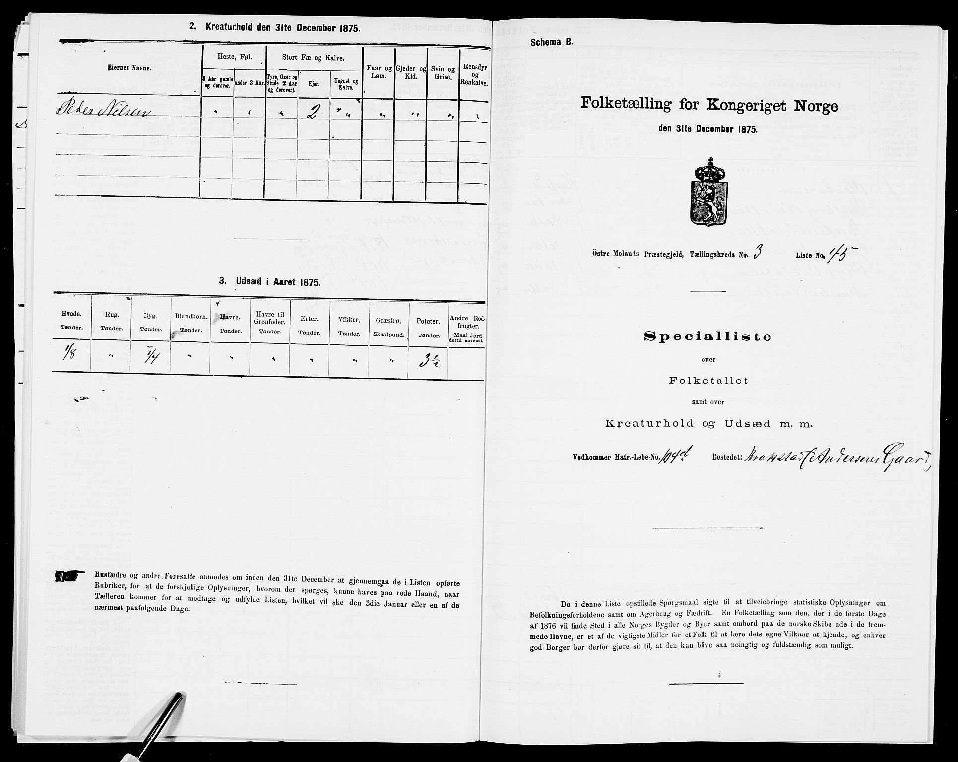 SAK, Folketelling 1875 for 0918P Austre Moland prestegjeld, 1875, s. 3132