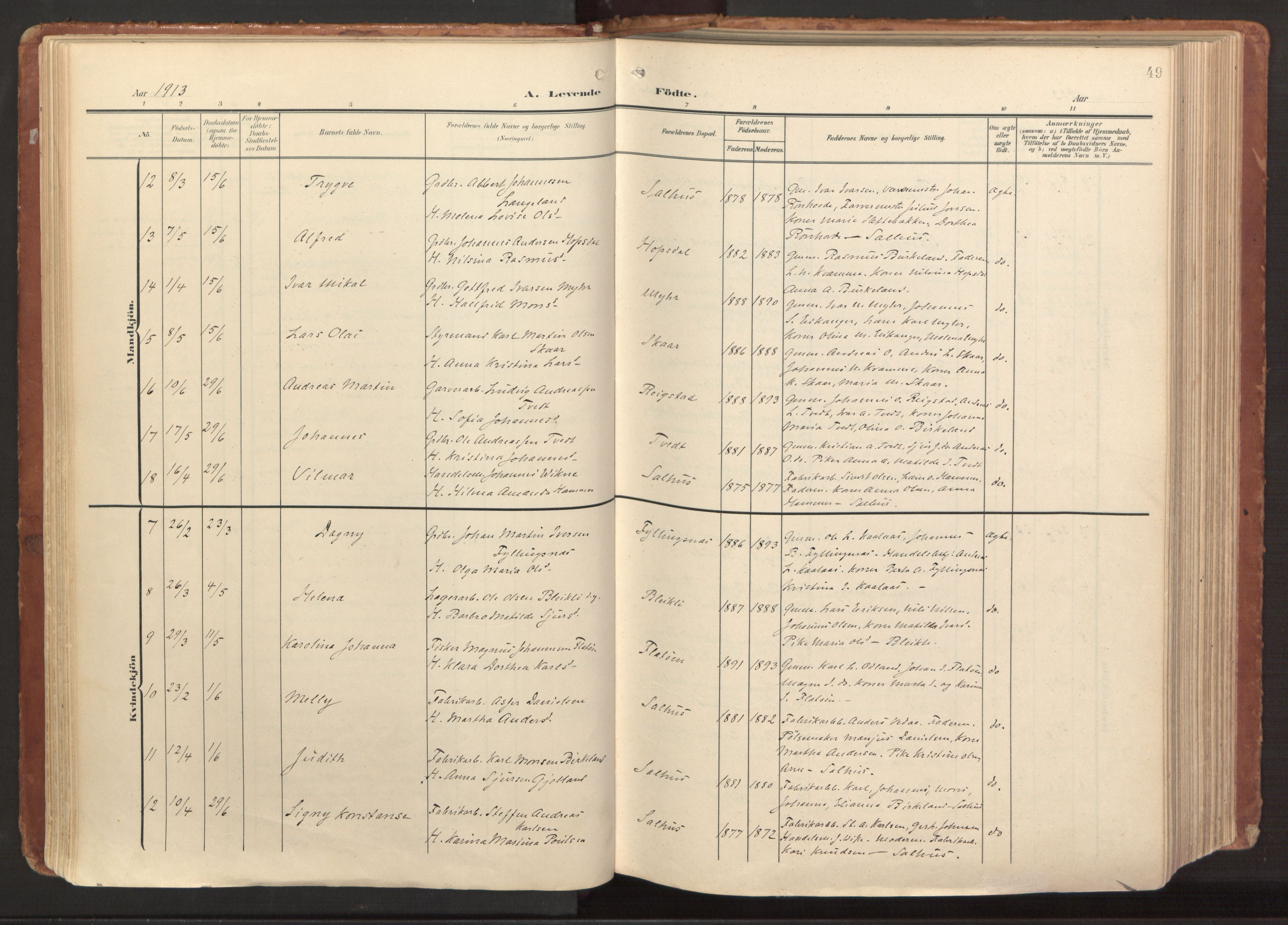 Hamre sokneprestembete, AV/SAB-A-75501/H/Ha/Haa/Haab/L0002: Ministerialbok nr. B 2, 1905-1924, s. 49