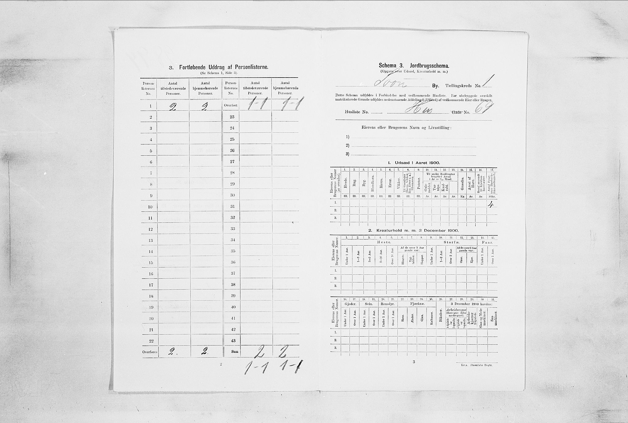 SAO, Folketelling 1900 for 0201 Son ladested, 1900