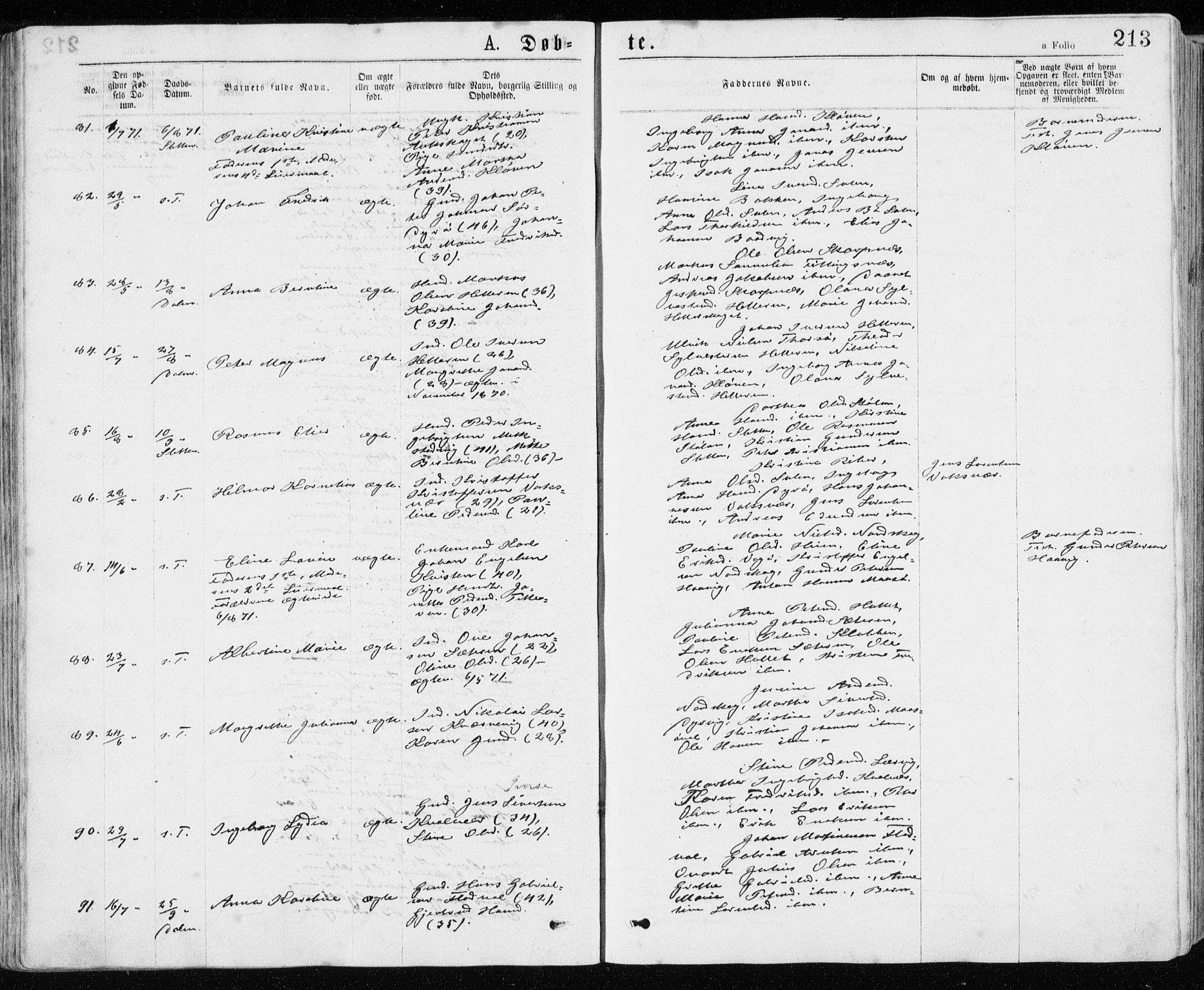 Ministerialprotokoller, klokkerbøker og fødselsregistre - Sør-Trøndelag, AV/SAT-A-1456/640/L0576: Ministerialbok nr. 640A01, 1846-1876, s. 213