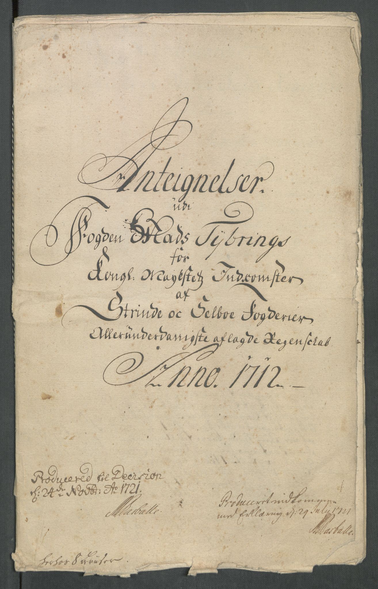 Rentekammeret inntil 1814, Reviderte regnskaper, Fogderegnskap, RA/EA-4092/R61/L4113: Fogderegnskap Strinda og Selbu, 1712-1713, s. 251