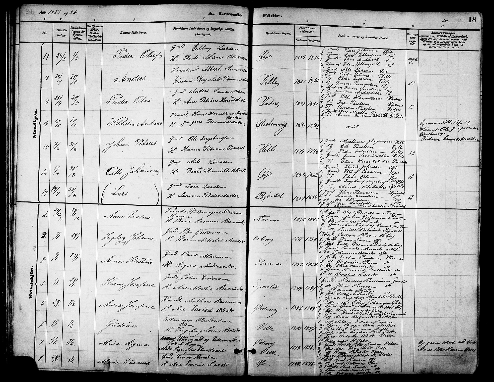 Ministerialprotokoller, klokkerbøker og fødselsregistre - Møre og Romsdal, AV/SAT-A-1454/513/L0189: Klokkerbok nr. 513C03, 1883-1904, s. 18