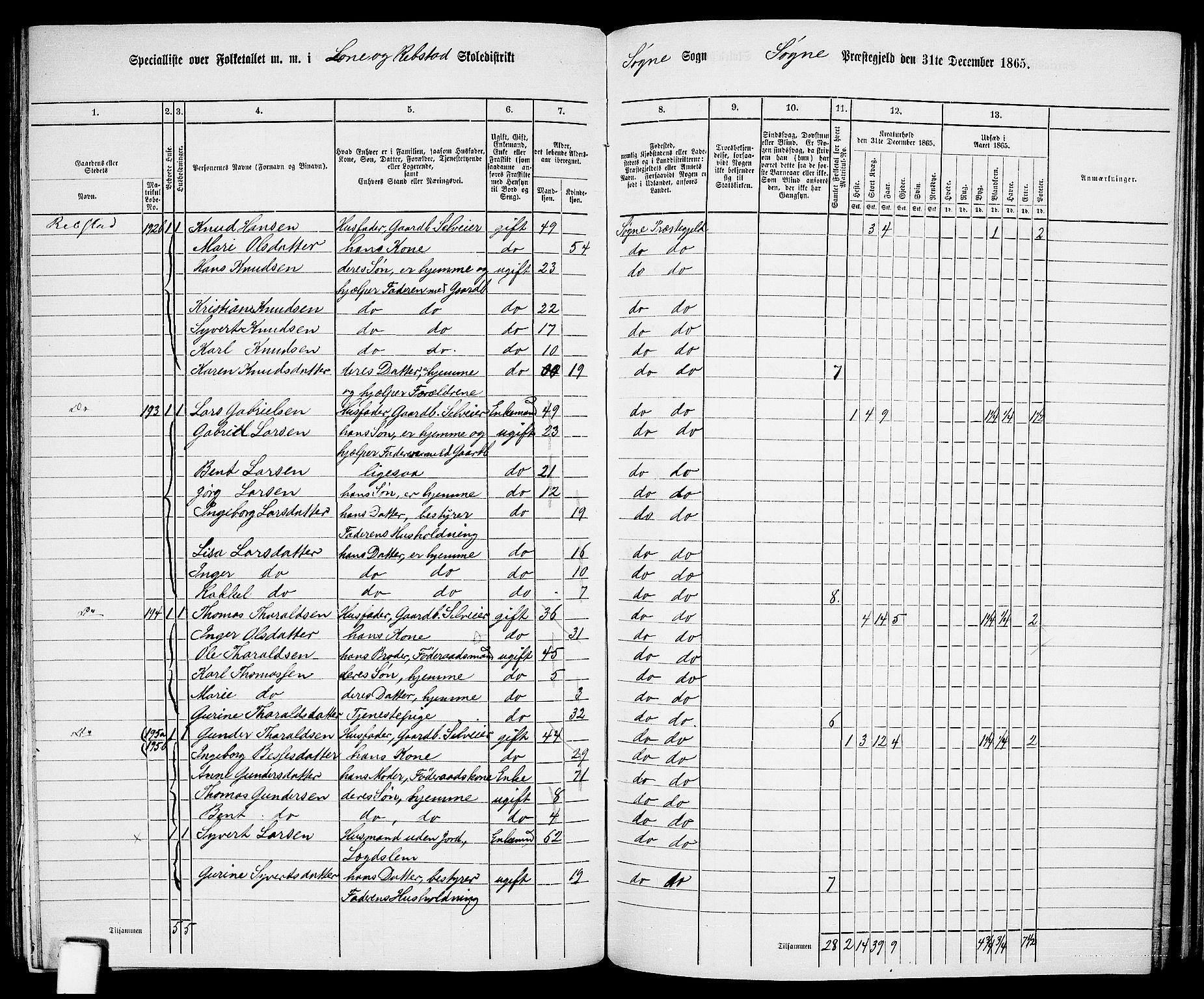 RA, Folketelling 1865 for 1018P Søgne prestegjeld, 1865, s. 119